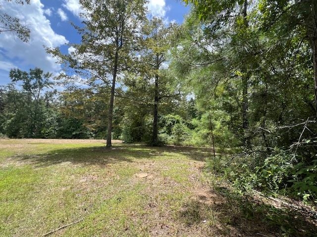 258 W J Hatchett Road, LAMONT, Florida image 15