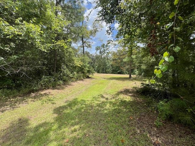 258 W J Hatchett Road, LAMONT, Florida image 16