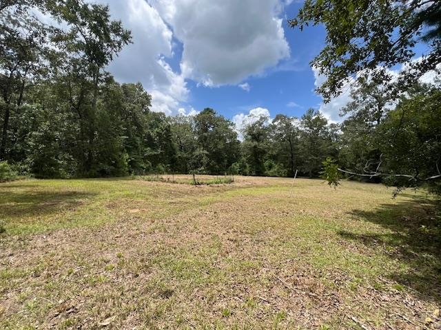 258 W J Hatchett Road, LAMONT, Florida image 7