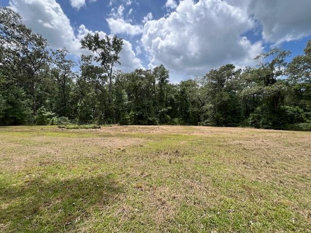 258 W J Hatchett Road, LAMONT, Florida image 9