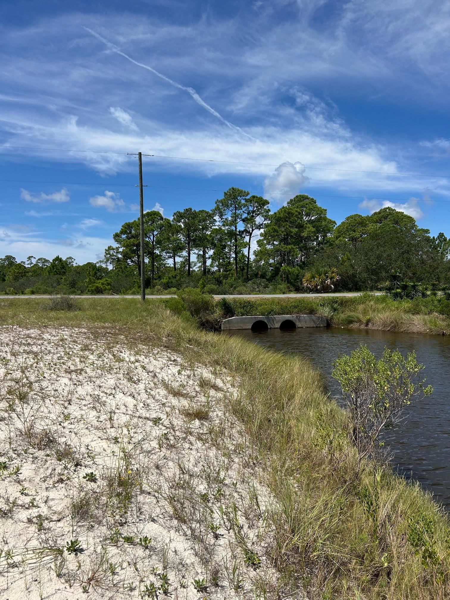 3 Marlin Street, Panacea, Florida image 9