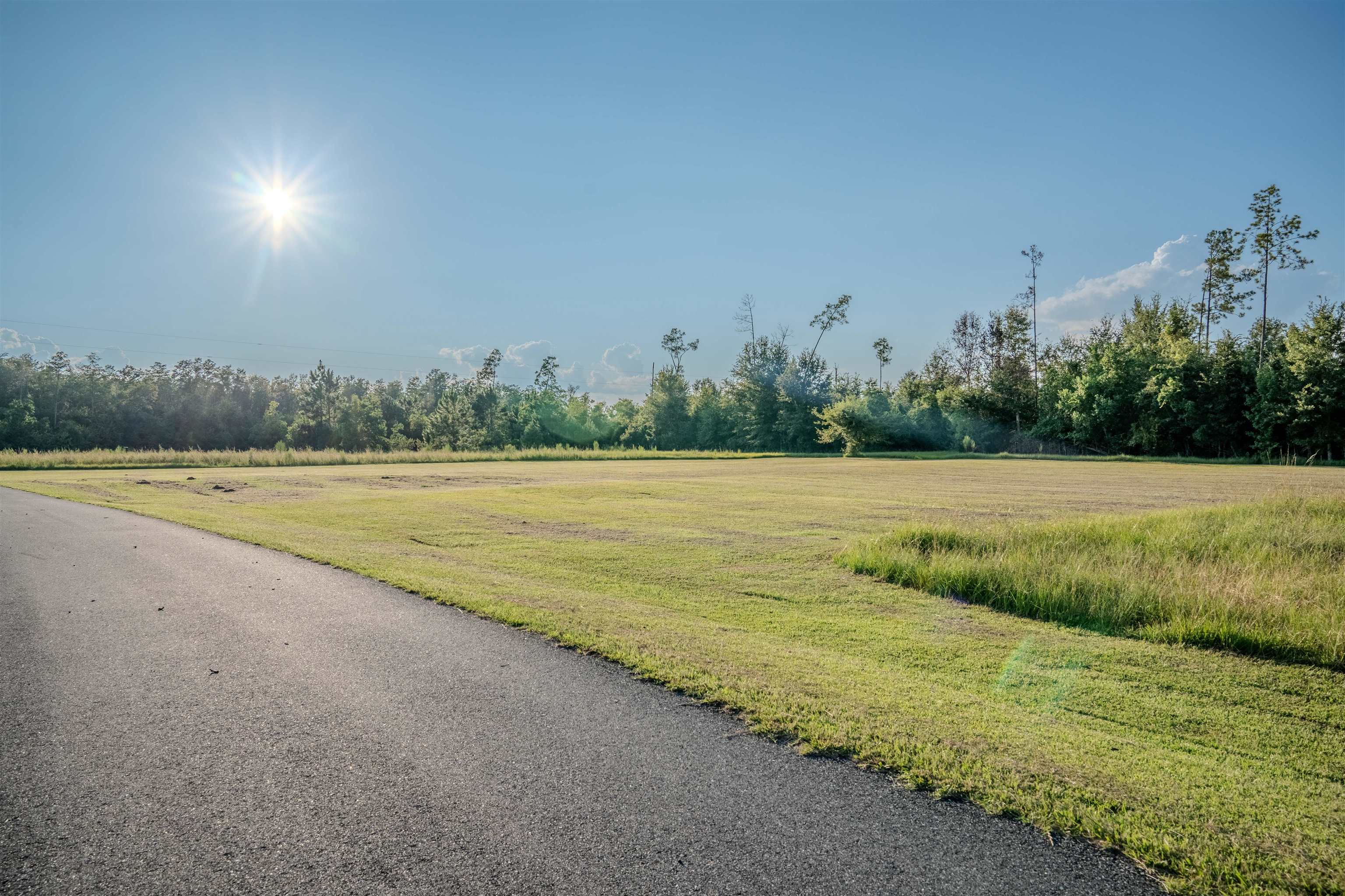 21748 N Sr 71, Altha, Florida image 40