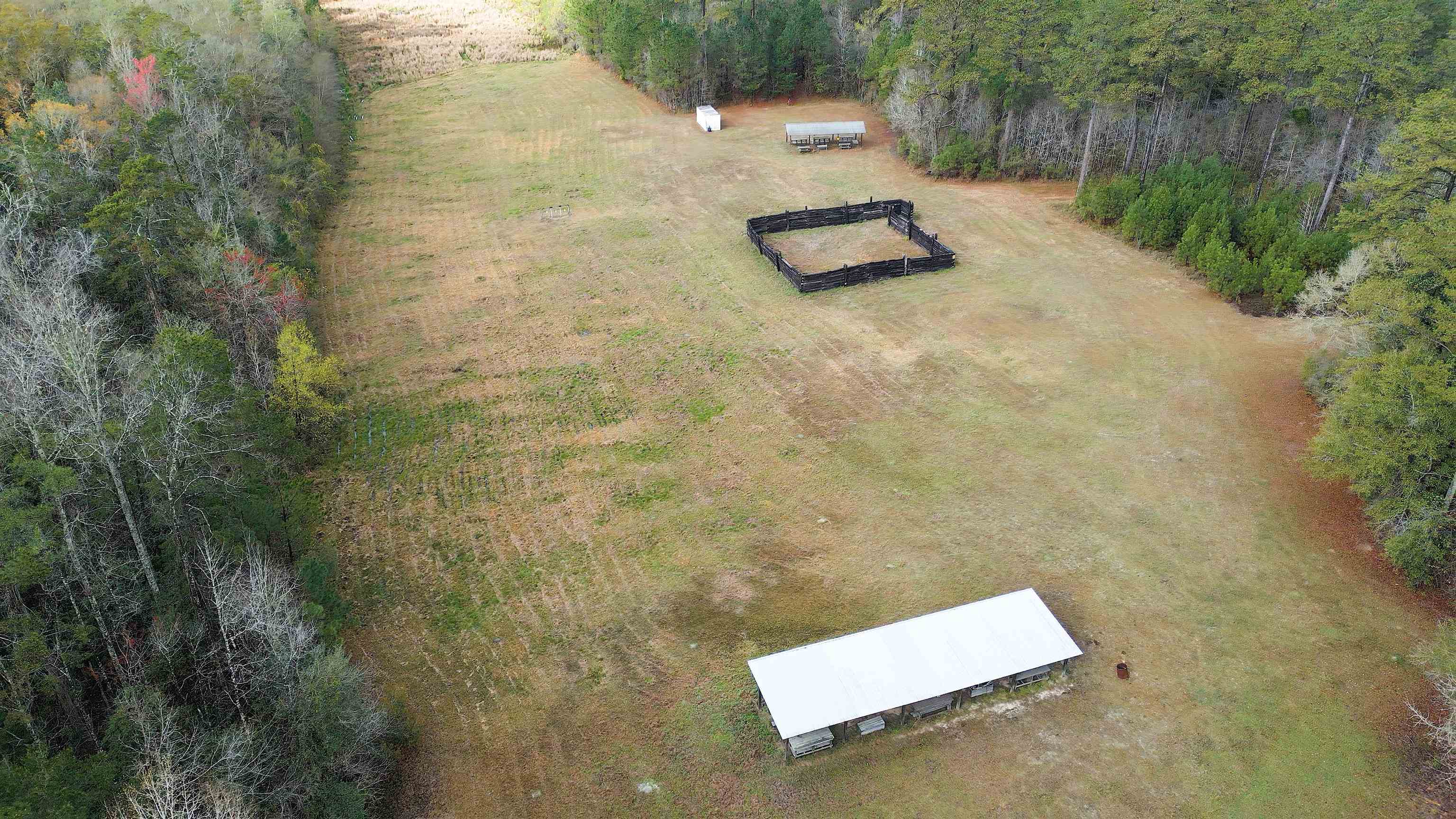 26070 Blue Star Highway, Quincy, Florida image 1
