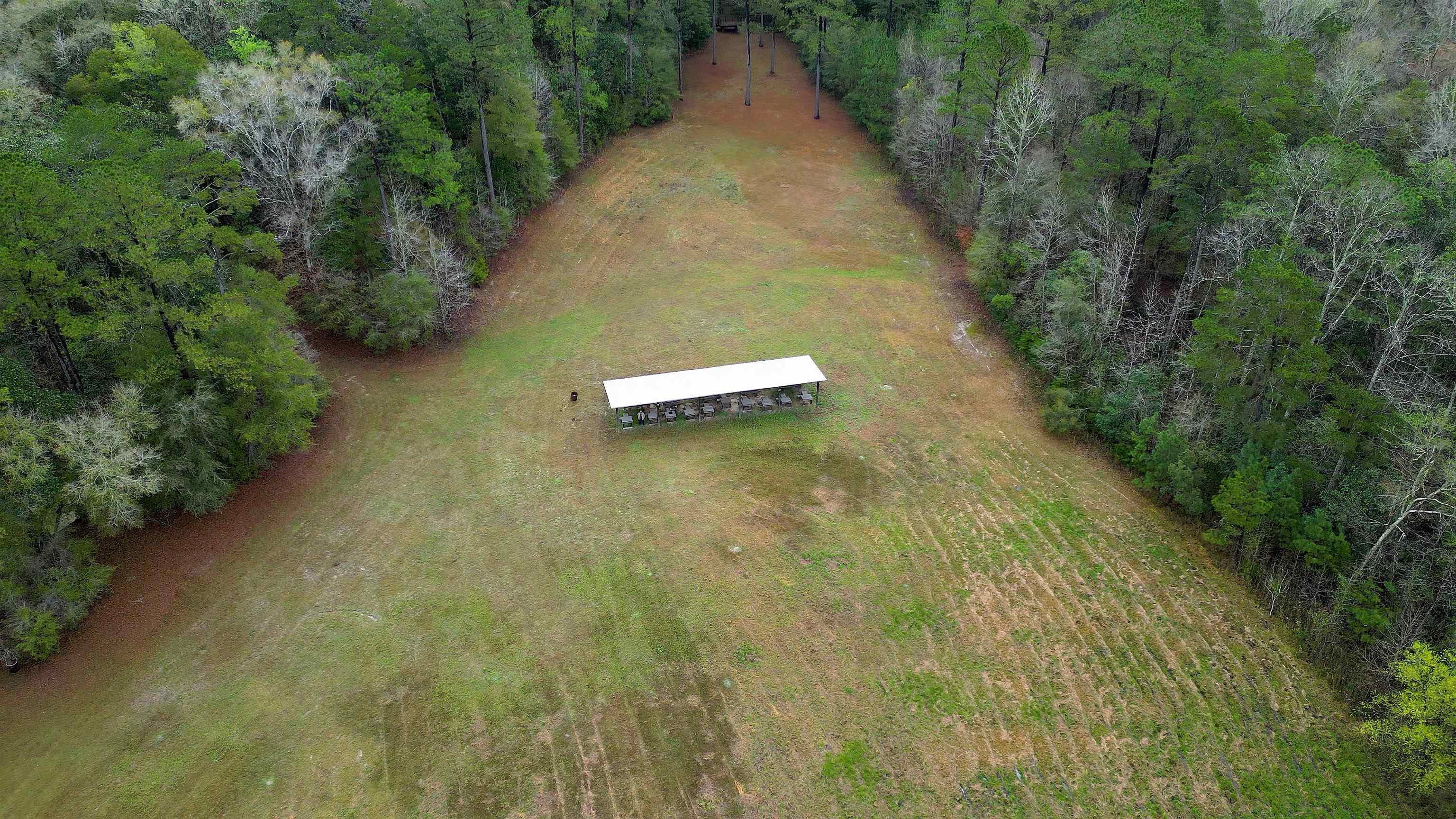 26070 Blue Star Highway, Quincy, Florida image 10