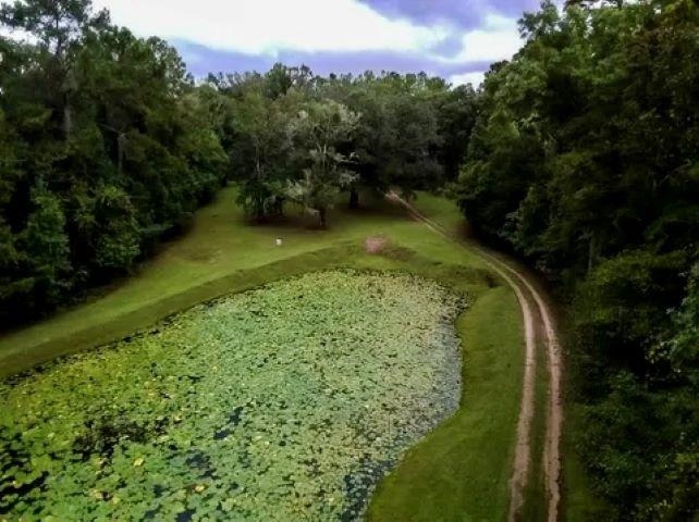 26070 Blue Star Highway, Quincy, Florida image 27