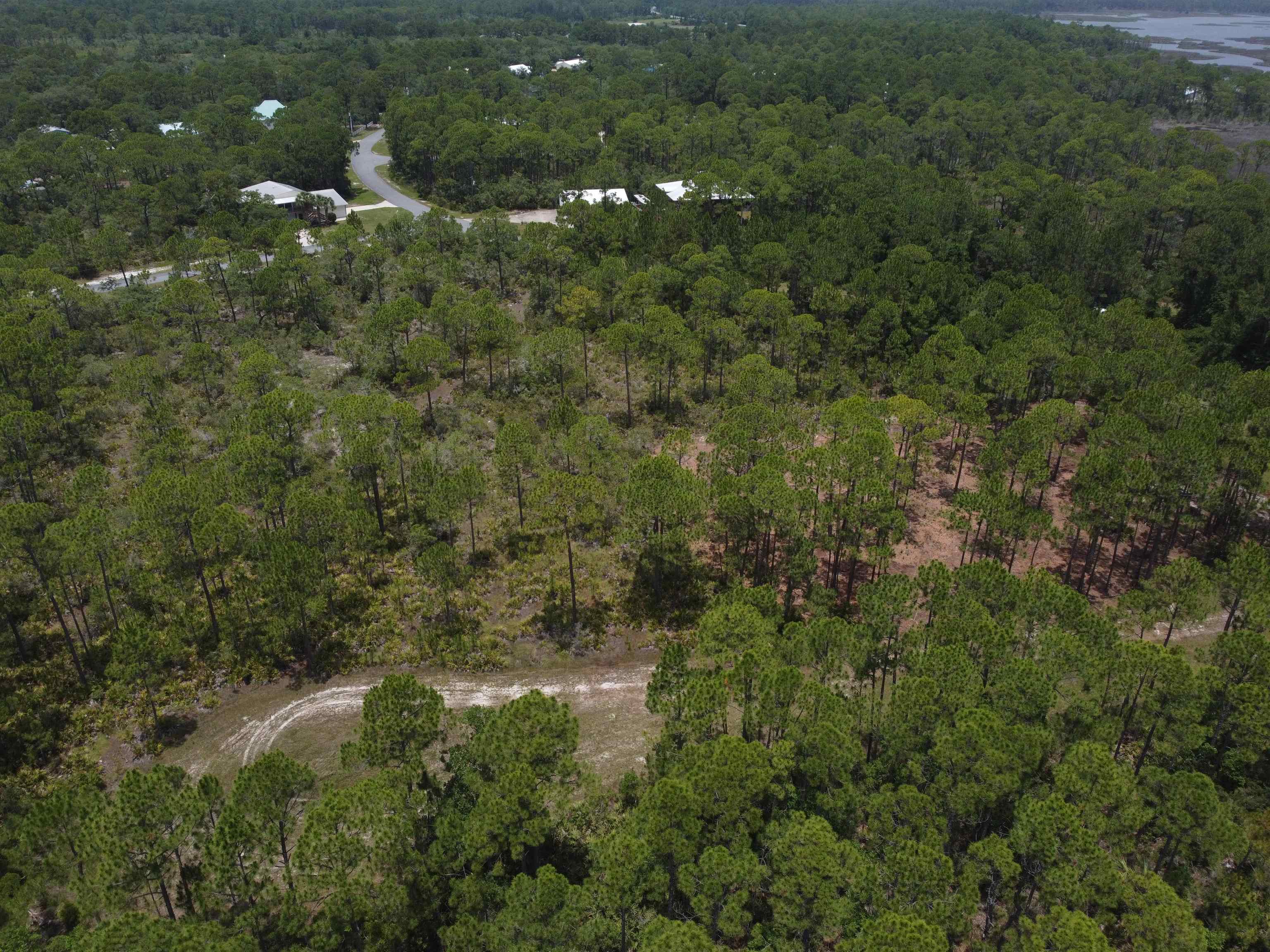 Lot 22&23 Tarpine Drive, PANACEA, Florida image 10