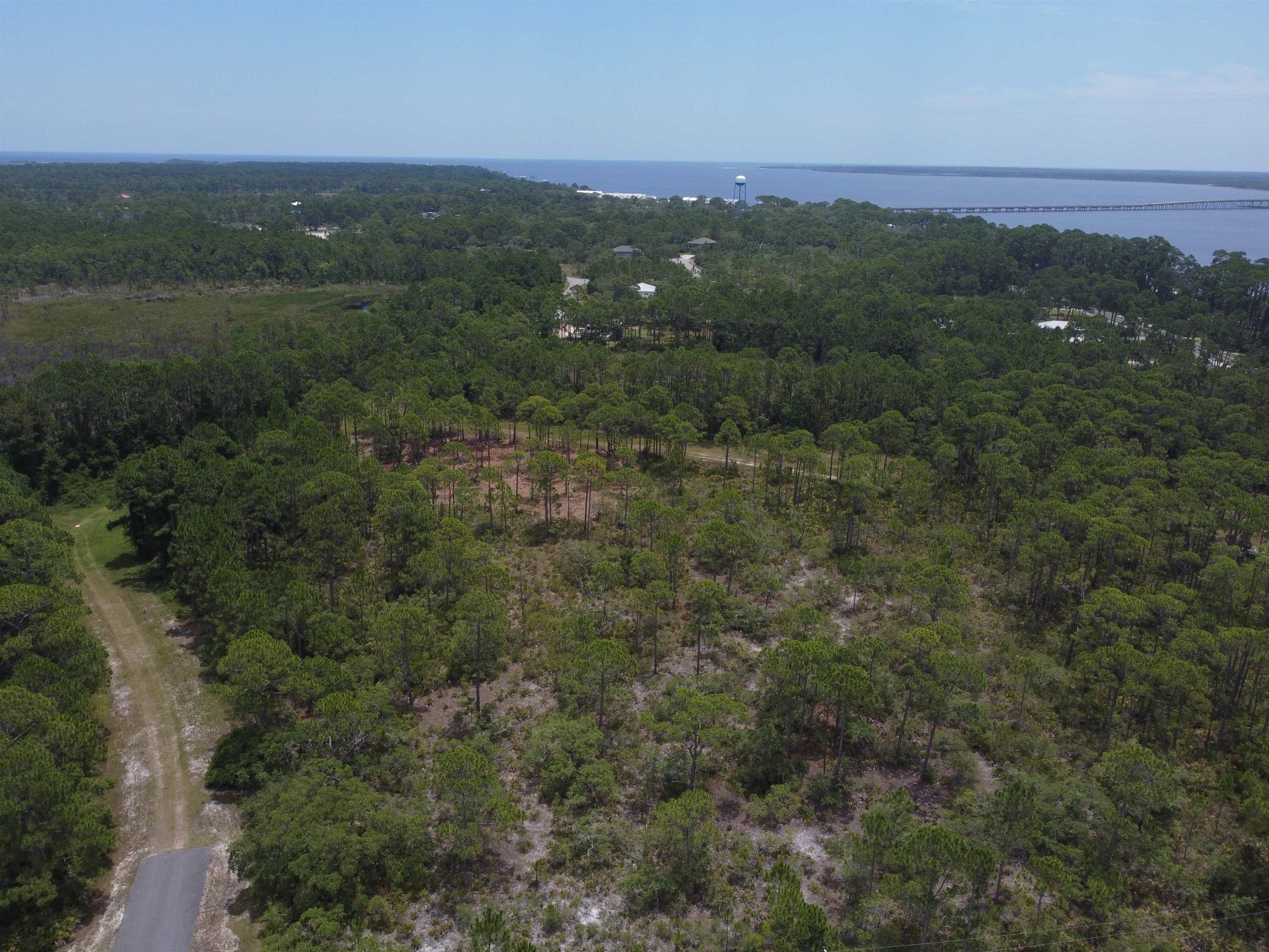 Lot 22&23 Tarpine Drive, PANACEA, Florida image 5