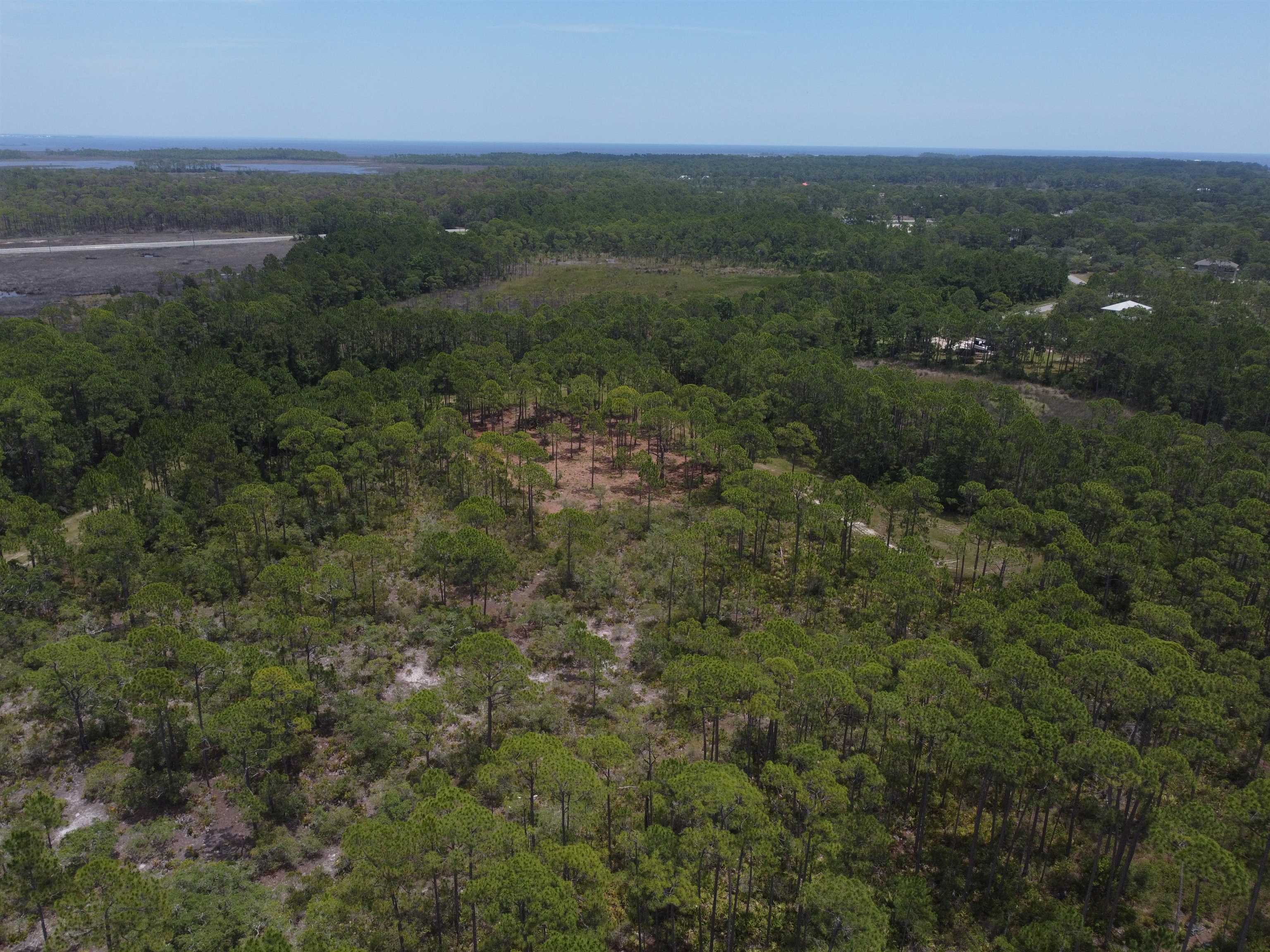 Lot 22&23 Tarpine Drive, PANACEA, Florida image 6