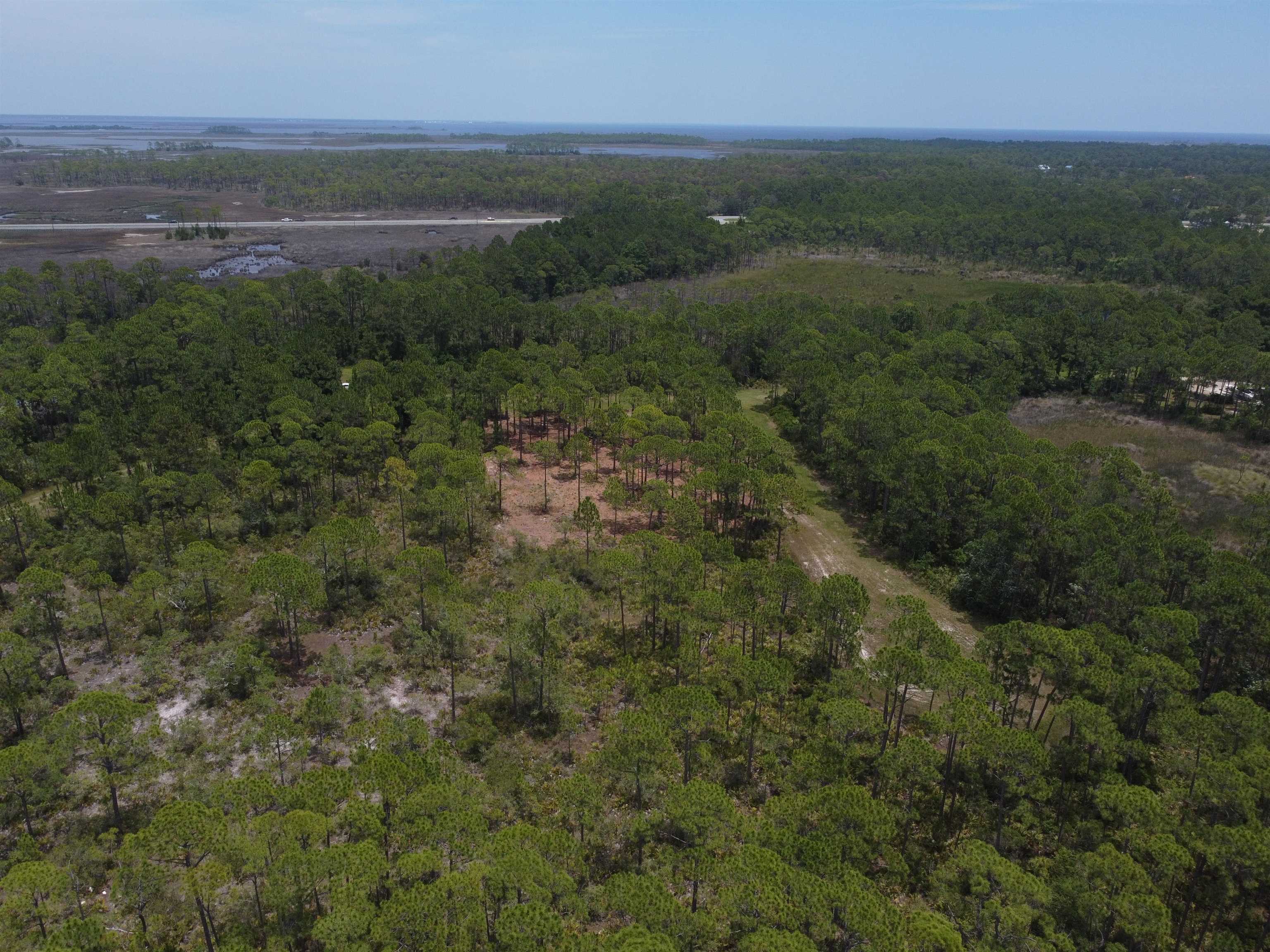 Lot 22&23 Tarpine Drive, PANACEA, Florida image 7