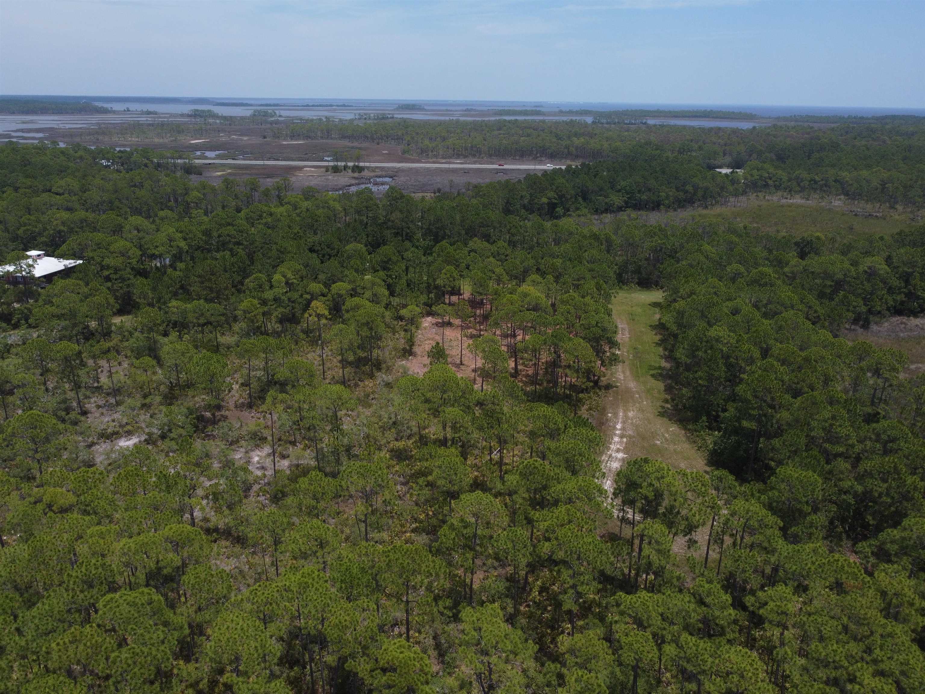 Lot 22&23 Tarpine Drive, PANACEA, Florida image 8