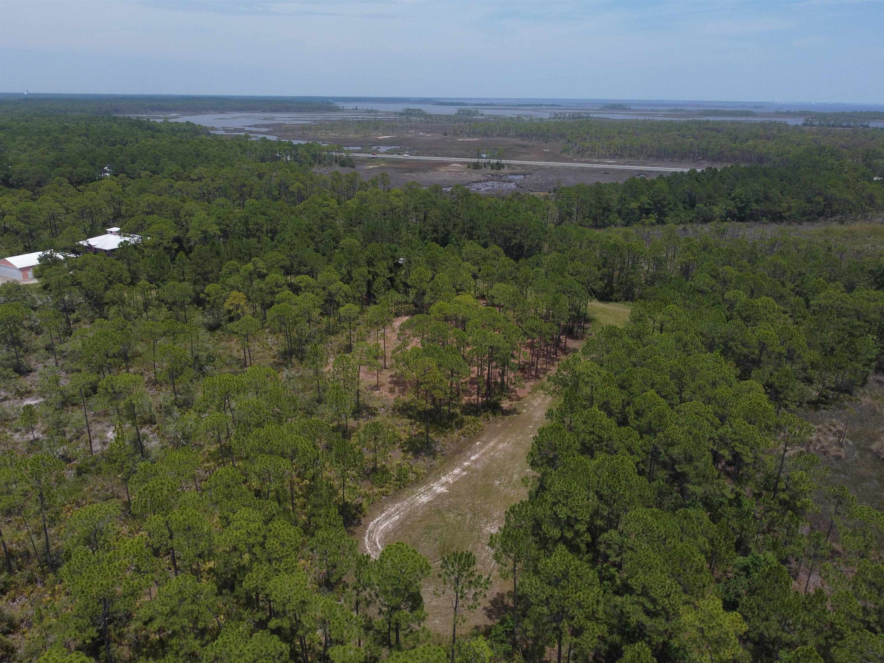 Lot 22&23 Tarpine Drive, PANACEA, Florida image 9