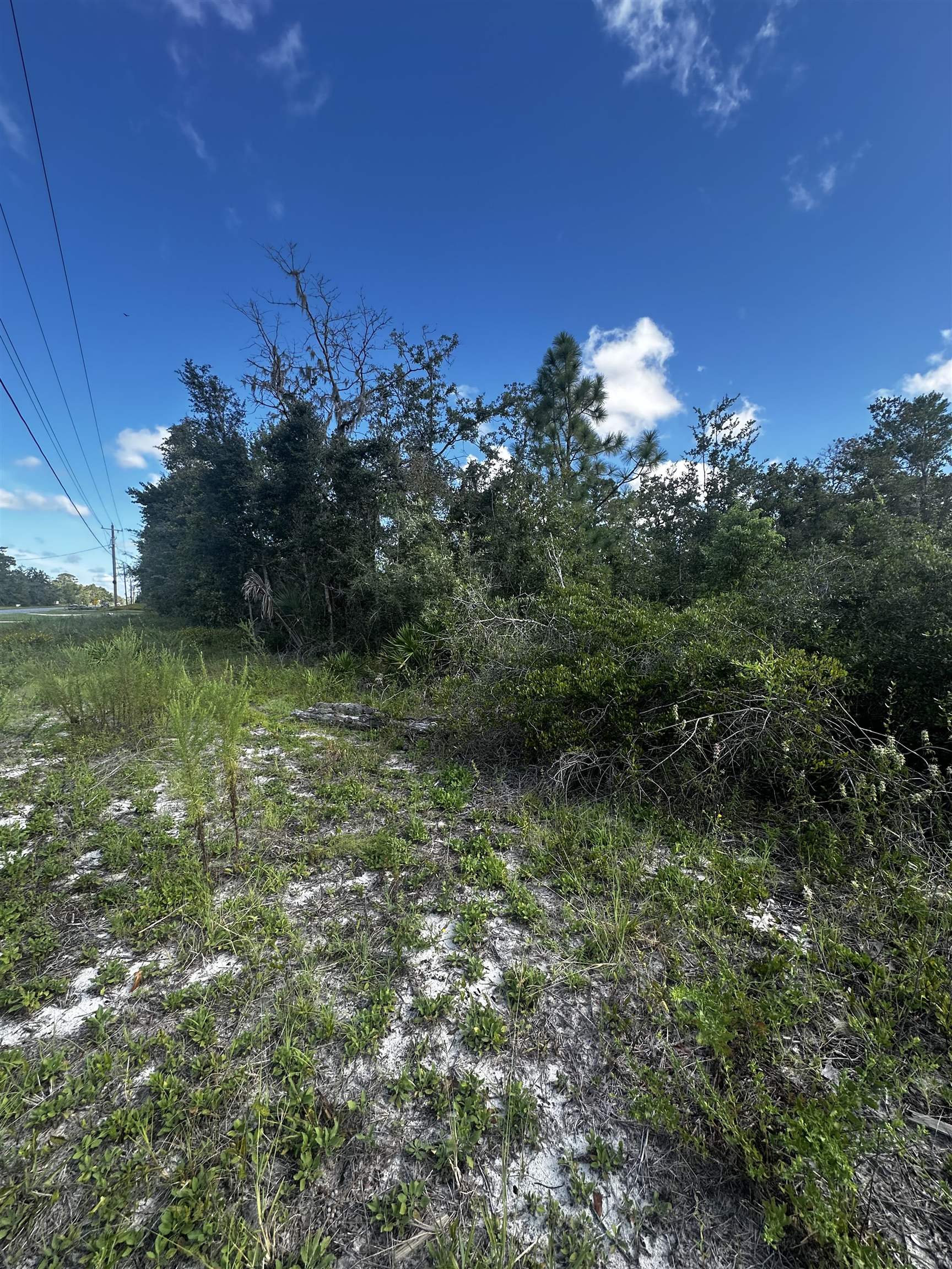 TBD Beach Road, PERRY, Florida image 4