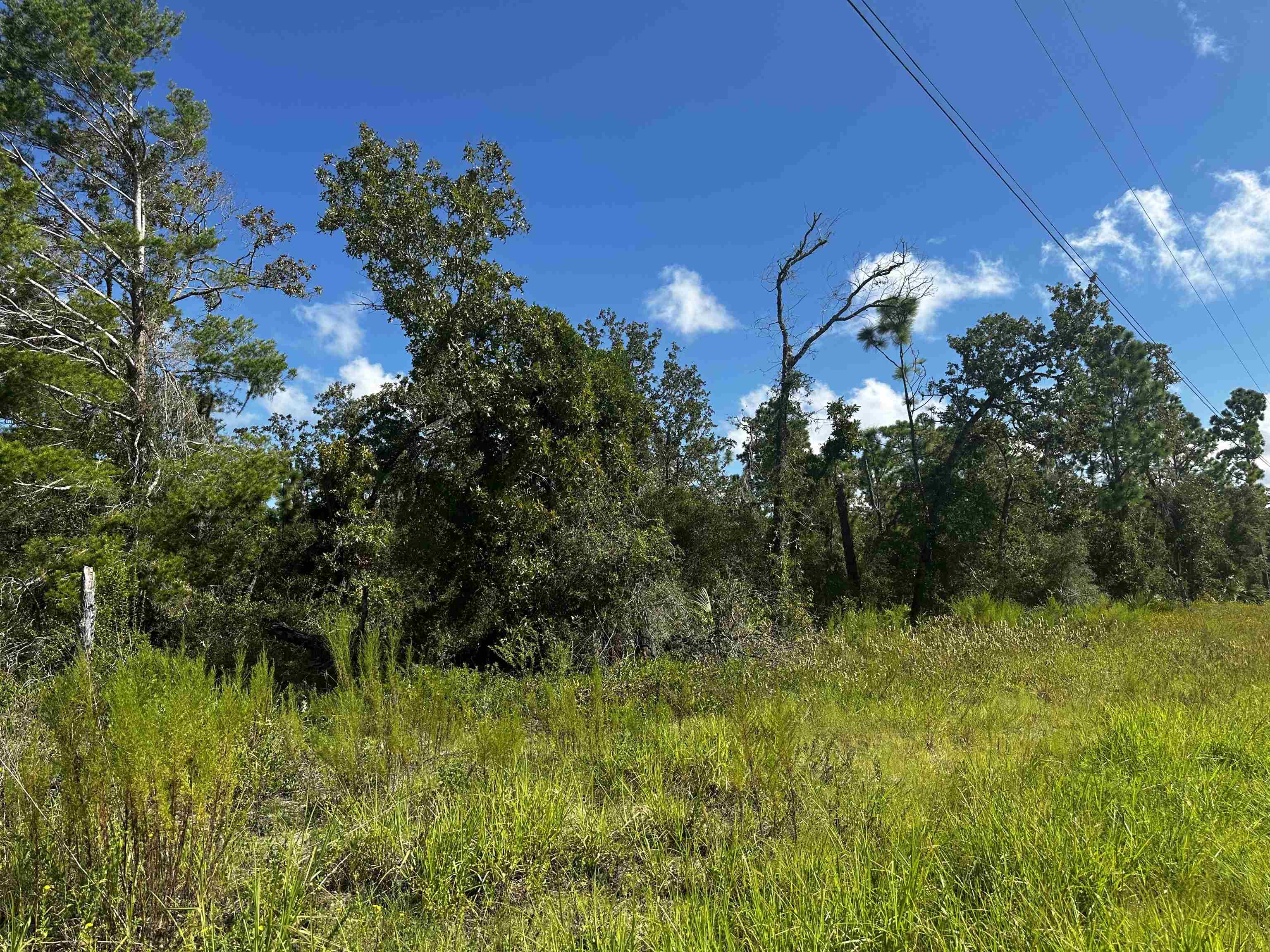 TBD Beach Road, PERRY, Florida image 7