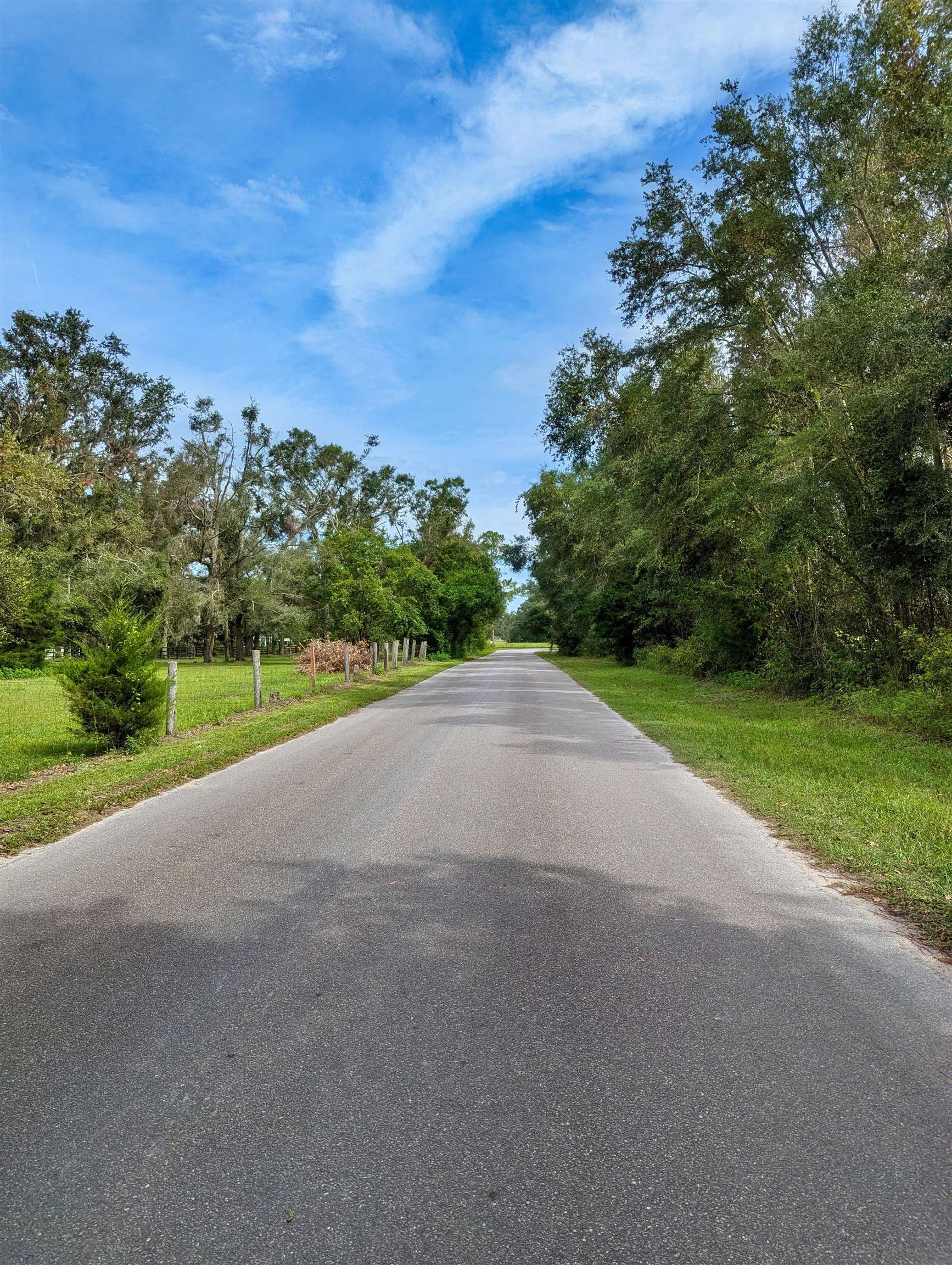 Vacant SW Roosevelt Circle, MAYO, Florida image 2