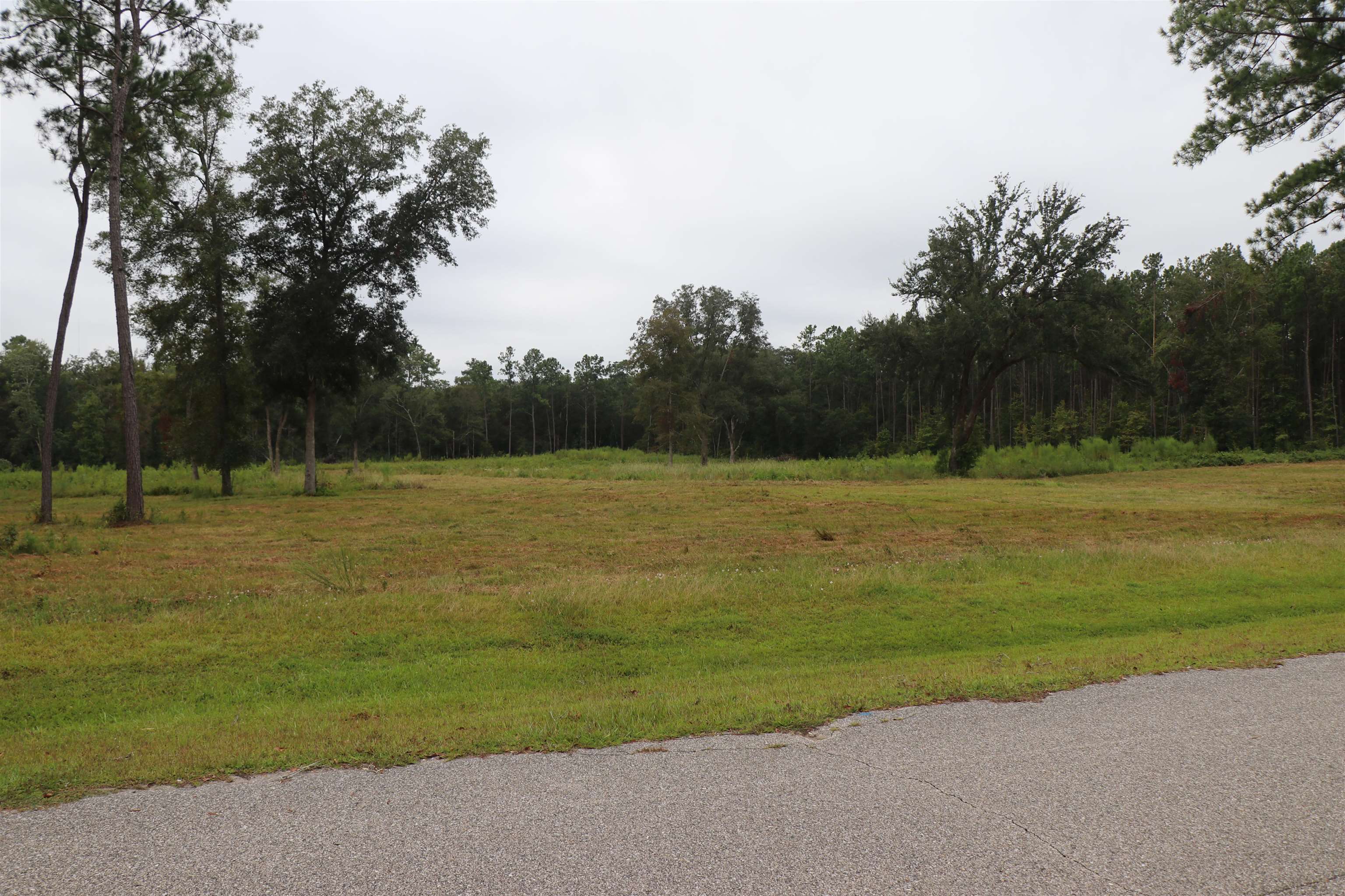 55 W Cavallo Trail, Monticello, Florida image 10