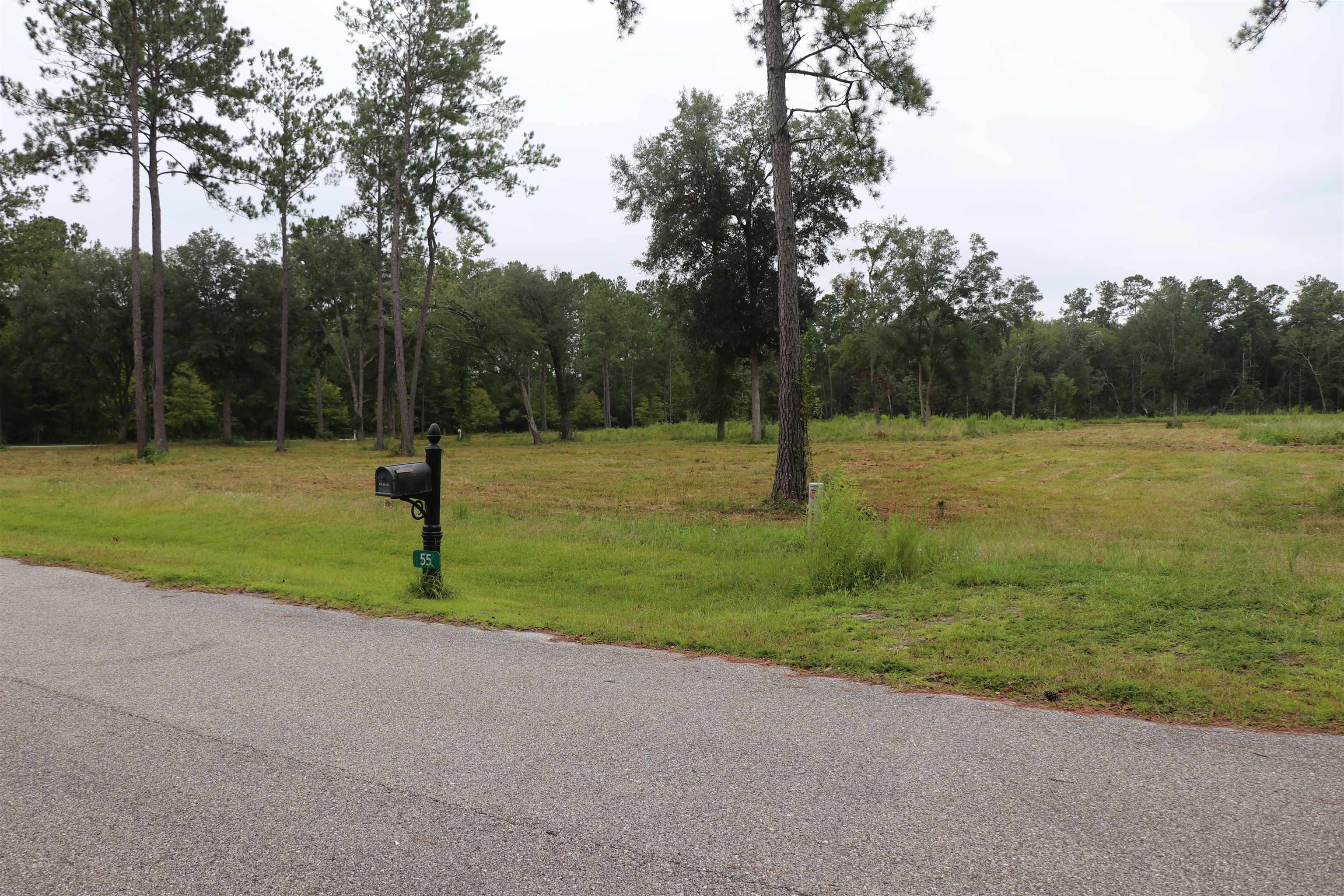55 W Cavallo Trail, Monticello, Florida image 11