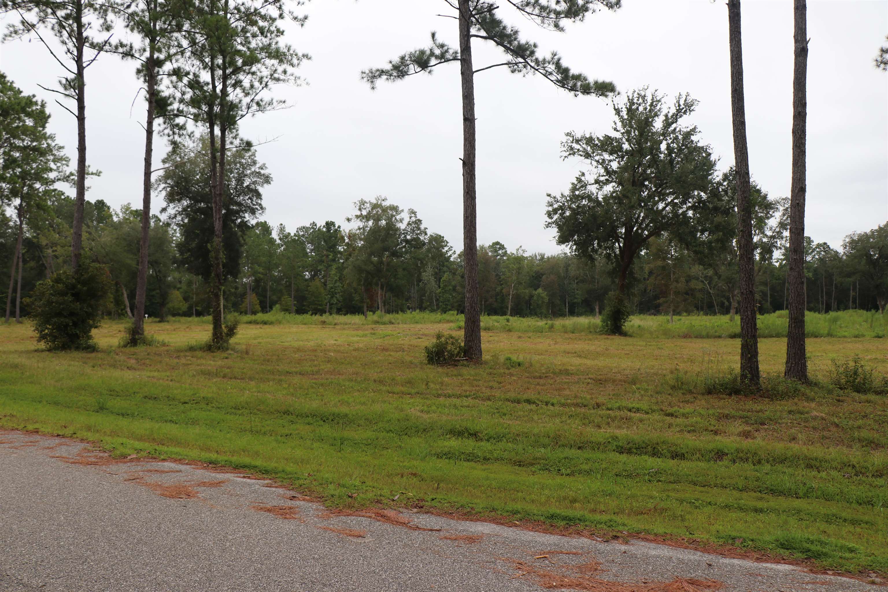 55 W Cavallo Trail, Monticello, Florida image 12