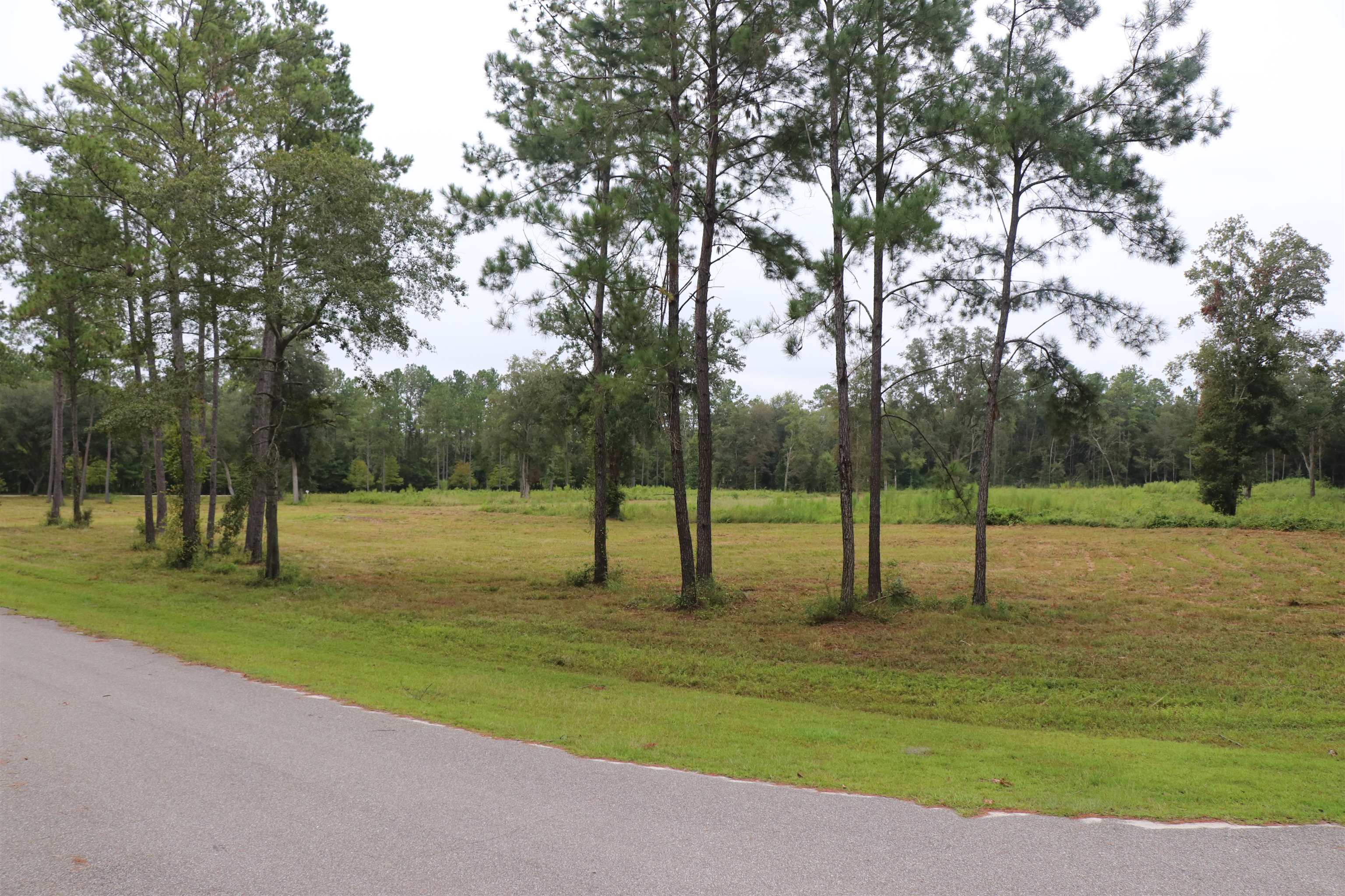 55 W Cavallo Trail, Monticello, Florida image 13