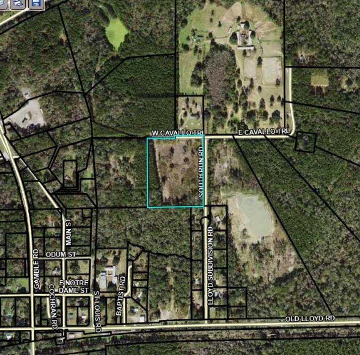 55 W Cavallo Trail, MONTICELLO, Florida image 16