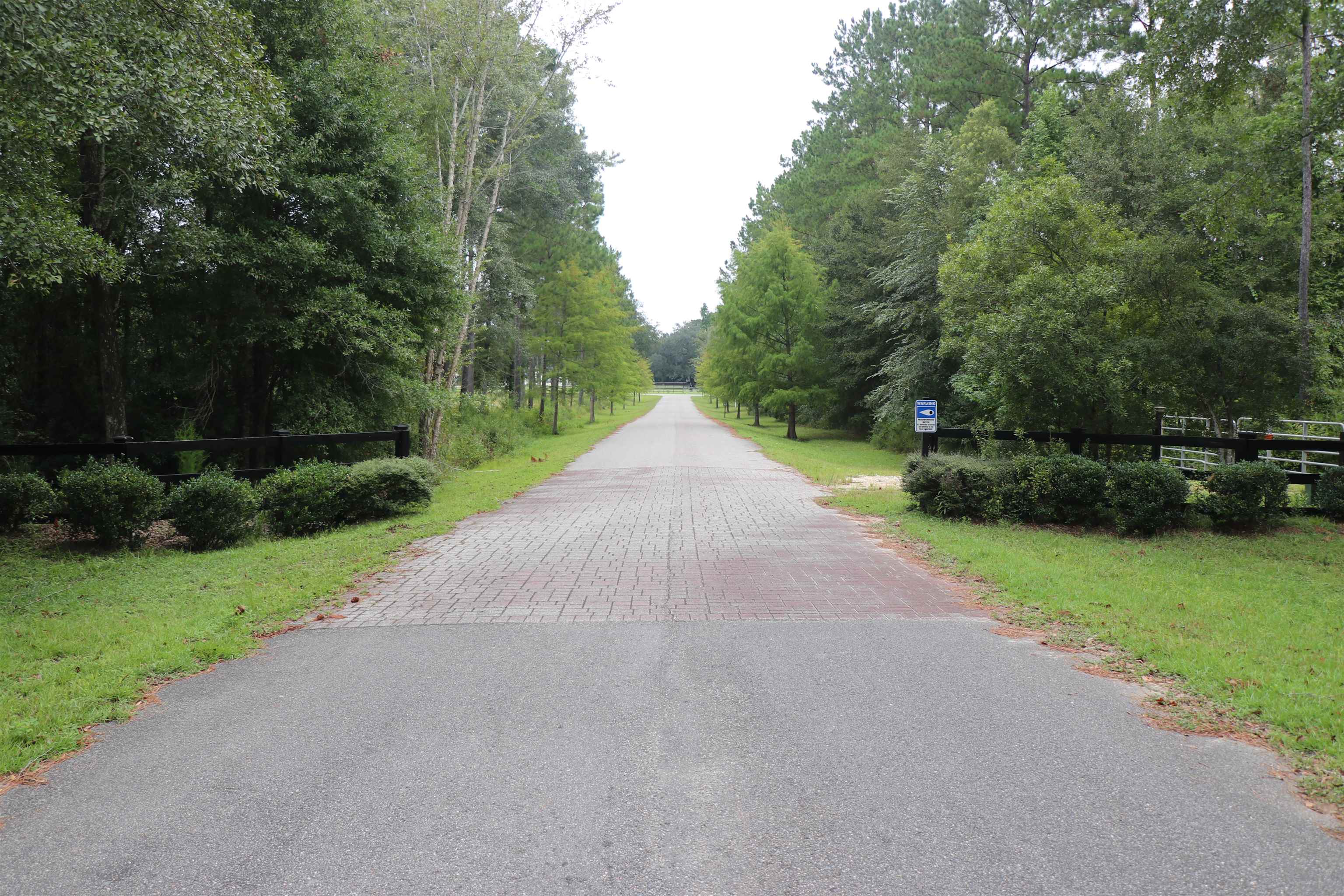 55 W Cavallo Trail, Monticello, Florida image 2