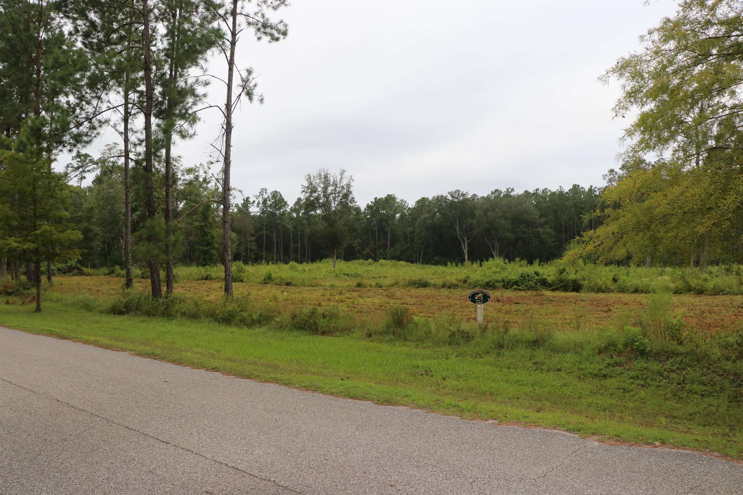 55 W Cavallo Trail, Monticello, Florida image 5