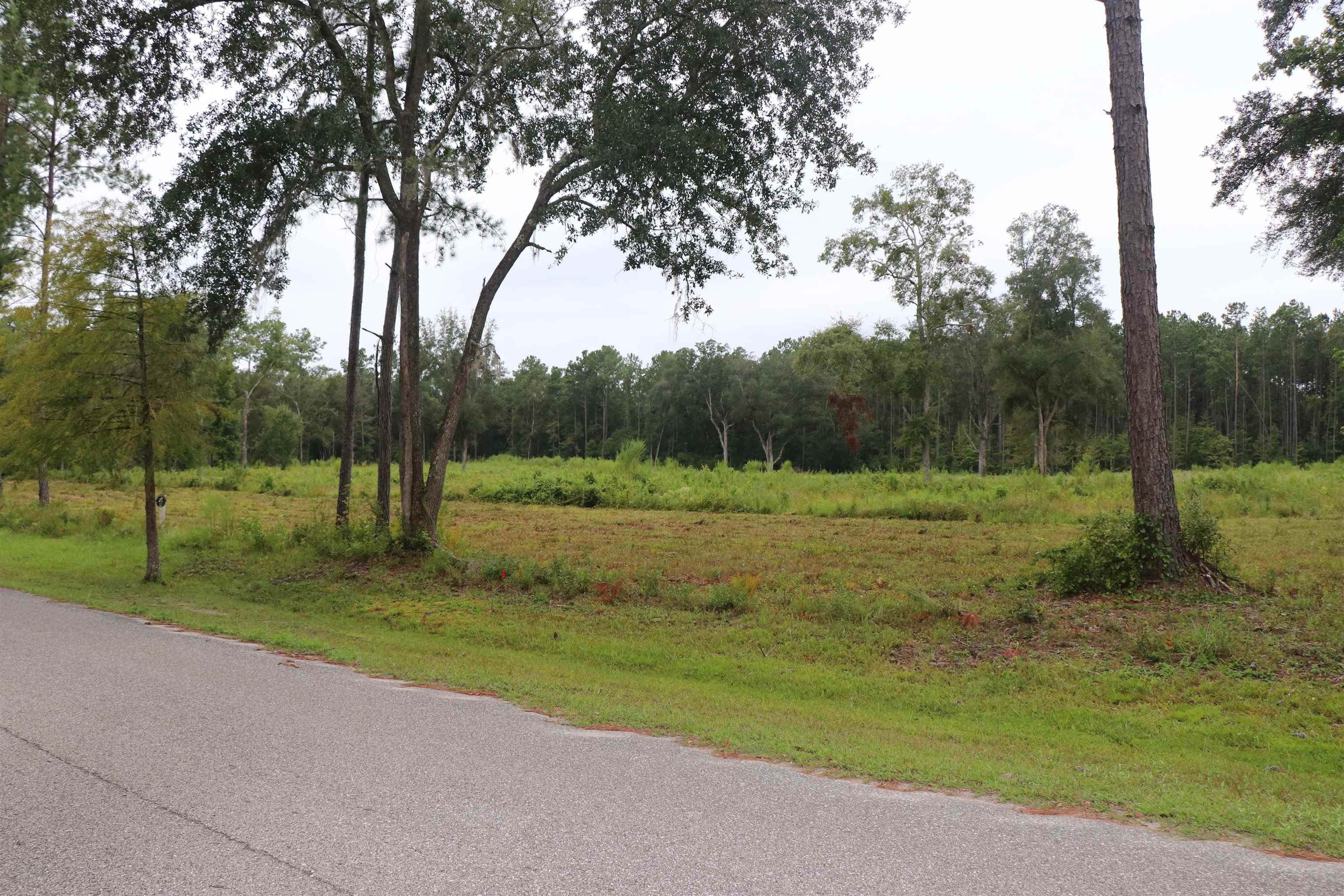 55 W Cavallo Trail, Monticello, Florida image 6