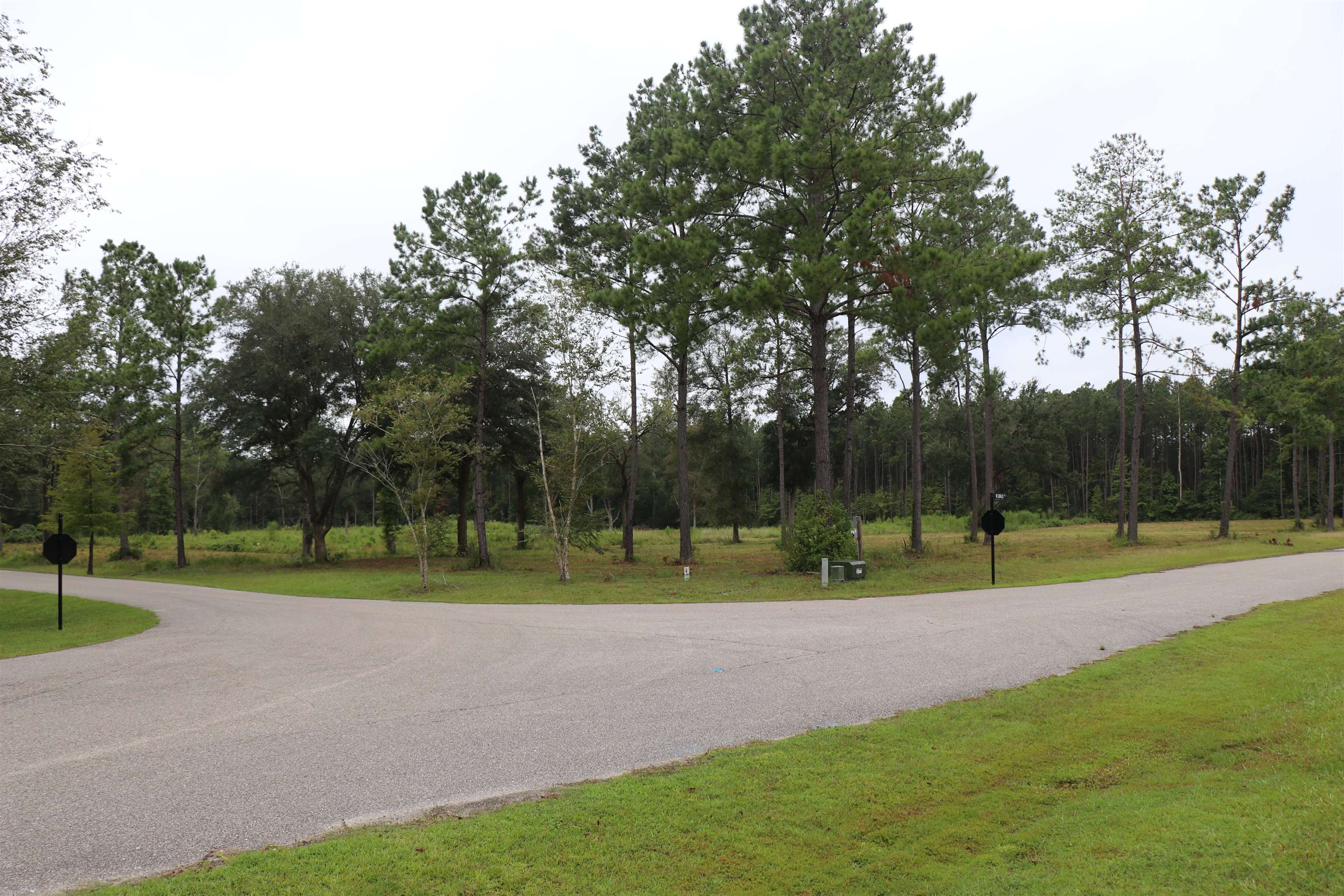 55 W Cavallo Trail, Monticello, Florida image 7