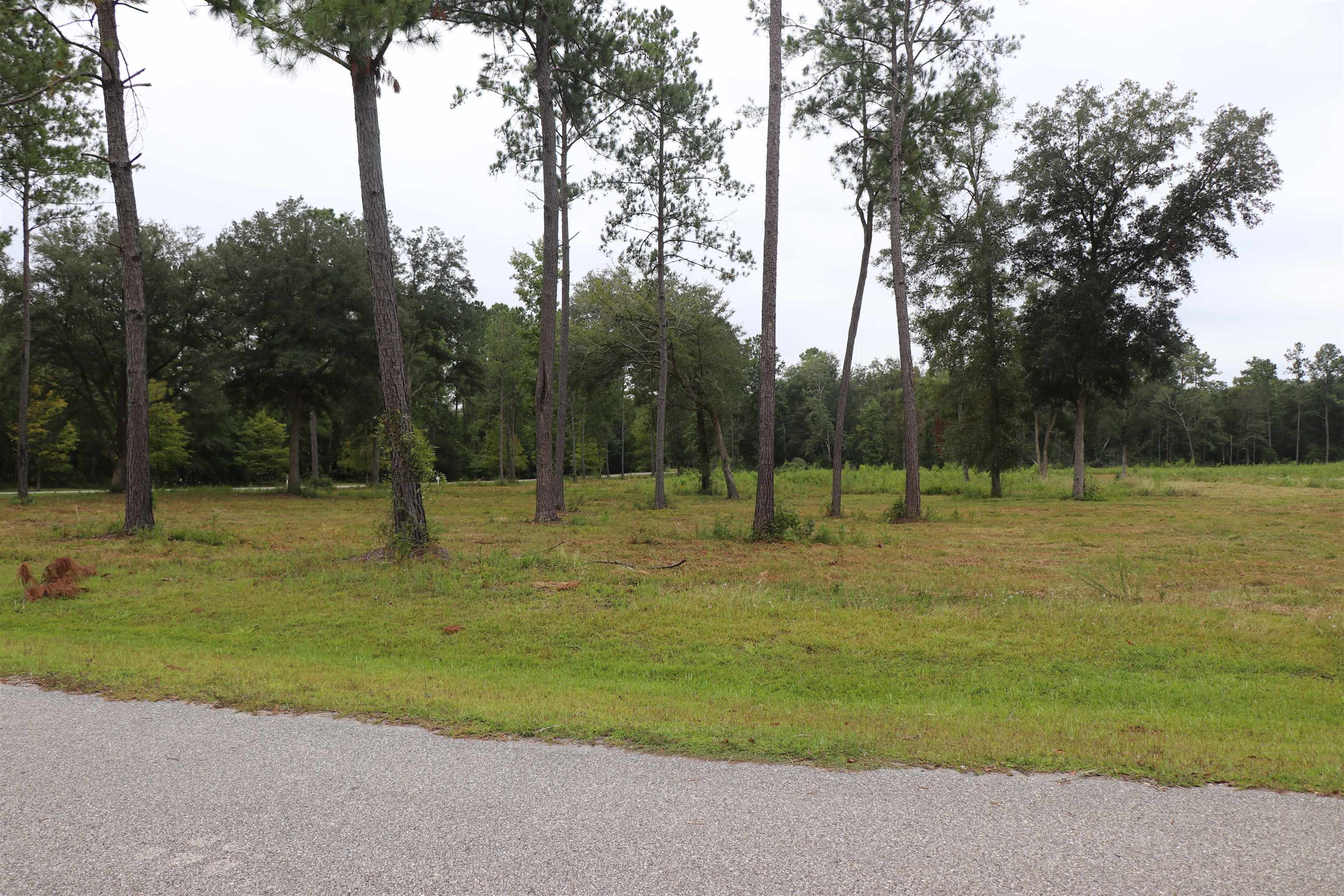 55 W Cavallo Trail, Monticello, Florida image 9