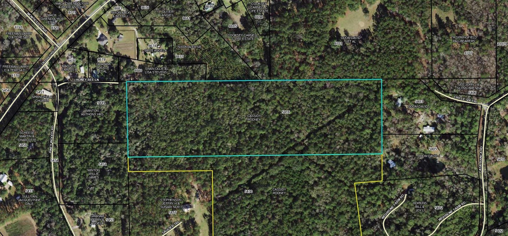 1310 Piney Woods Road, Monticello, Florida image 2
