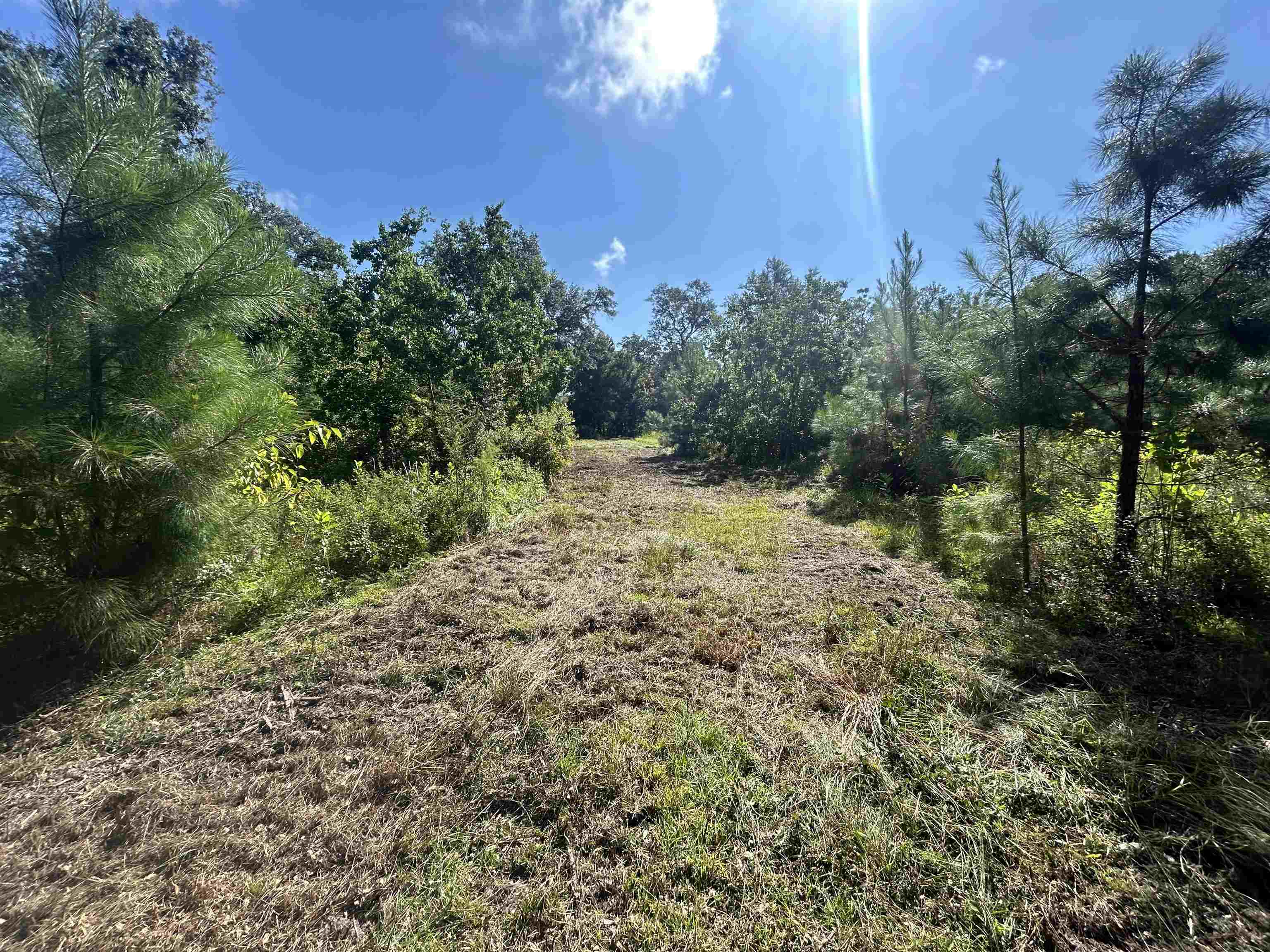 Taylor Road, Monticello, Florida image 3