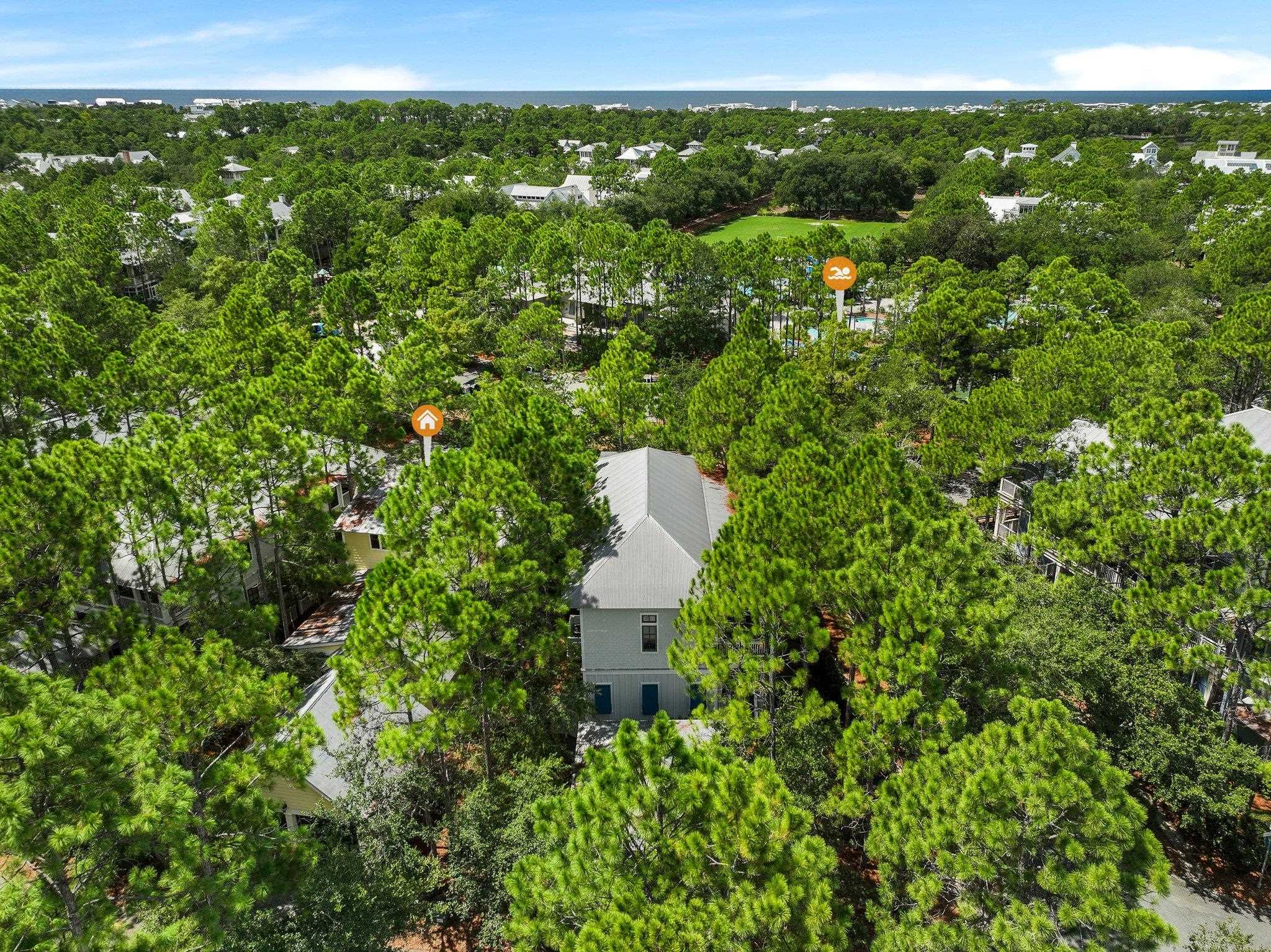 214 Spartina Circle, Santa Rosa Beach, Florida image 37