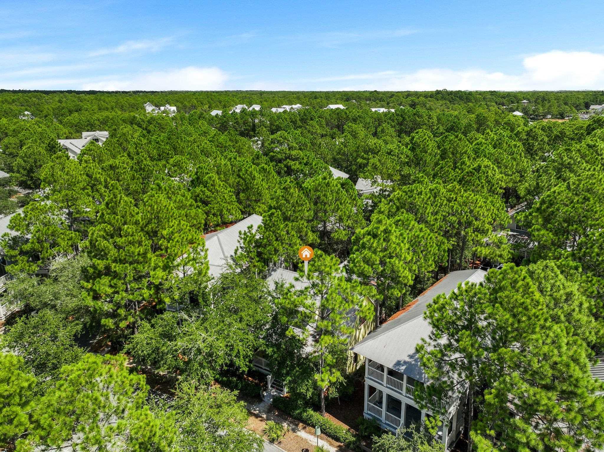 214 Spartina Circle, Santa Rosa Beach, Florida image 38