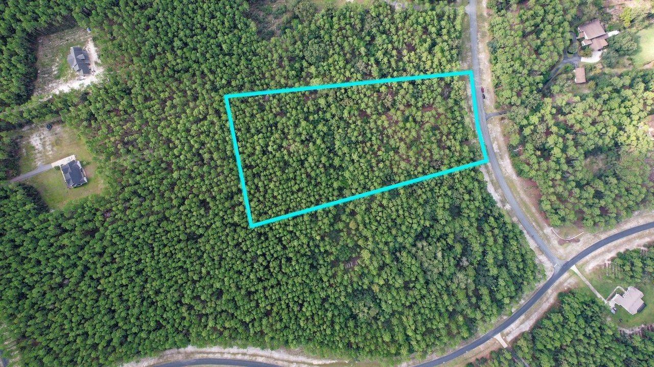 Saddle Rope Trail, Tallahassee, Florida image 12