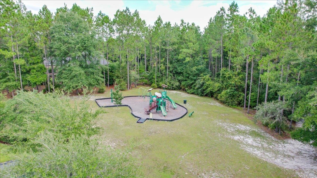 Saddle Rope Trail, Tallahassee, Florida image 4