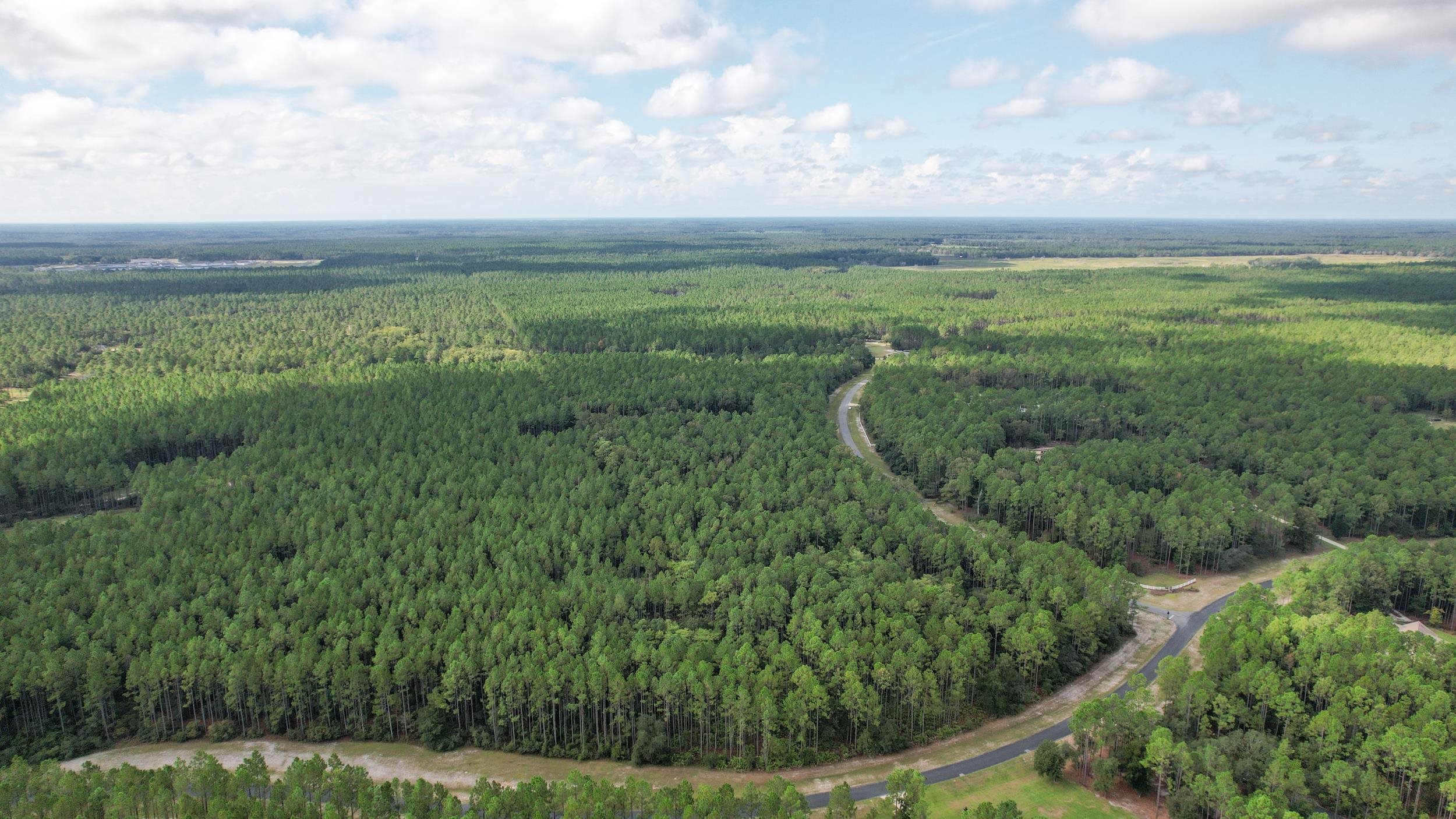 Saddle Rope Trail, Tallahassee, Florida image 9