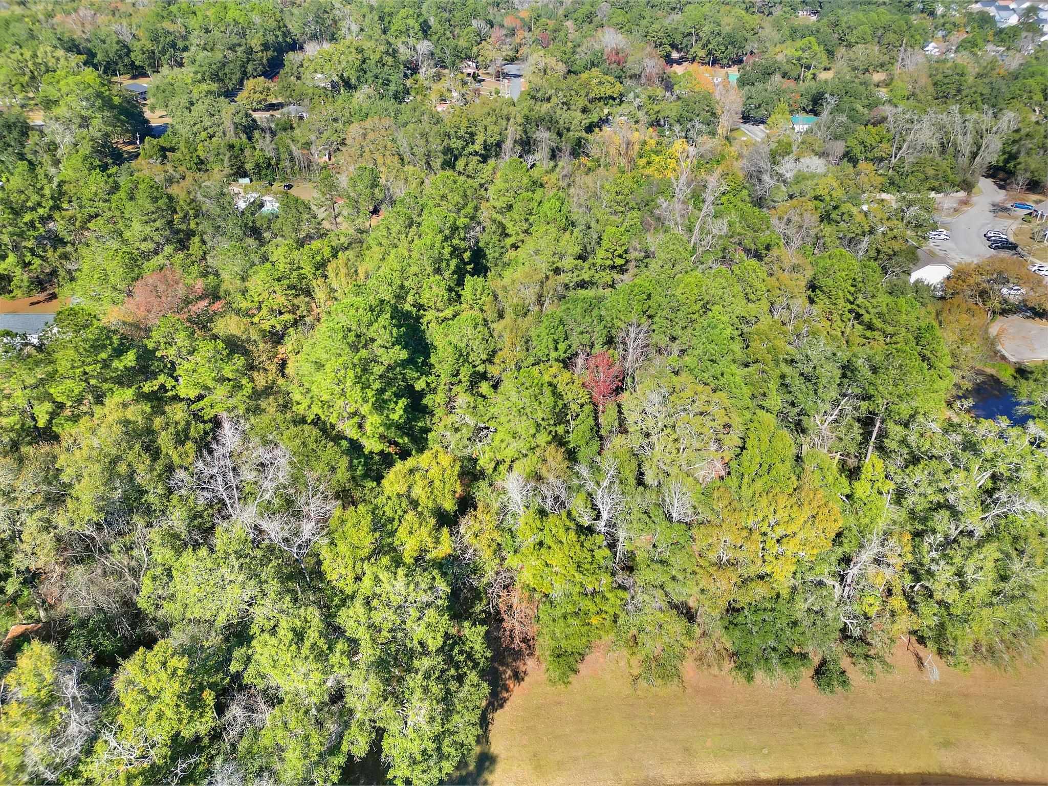 Xxxx Hartsfield Road, Tallahassee, Florida image 8