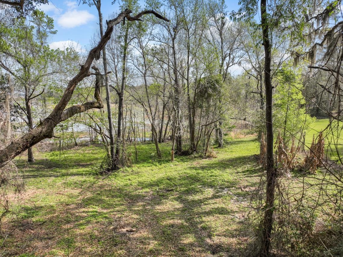 Lot 7 Grandview Court, Tallahassee, Florida image 2