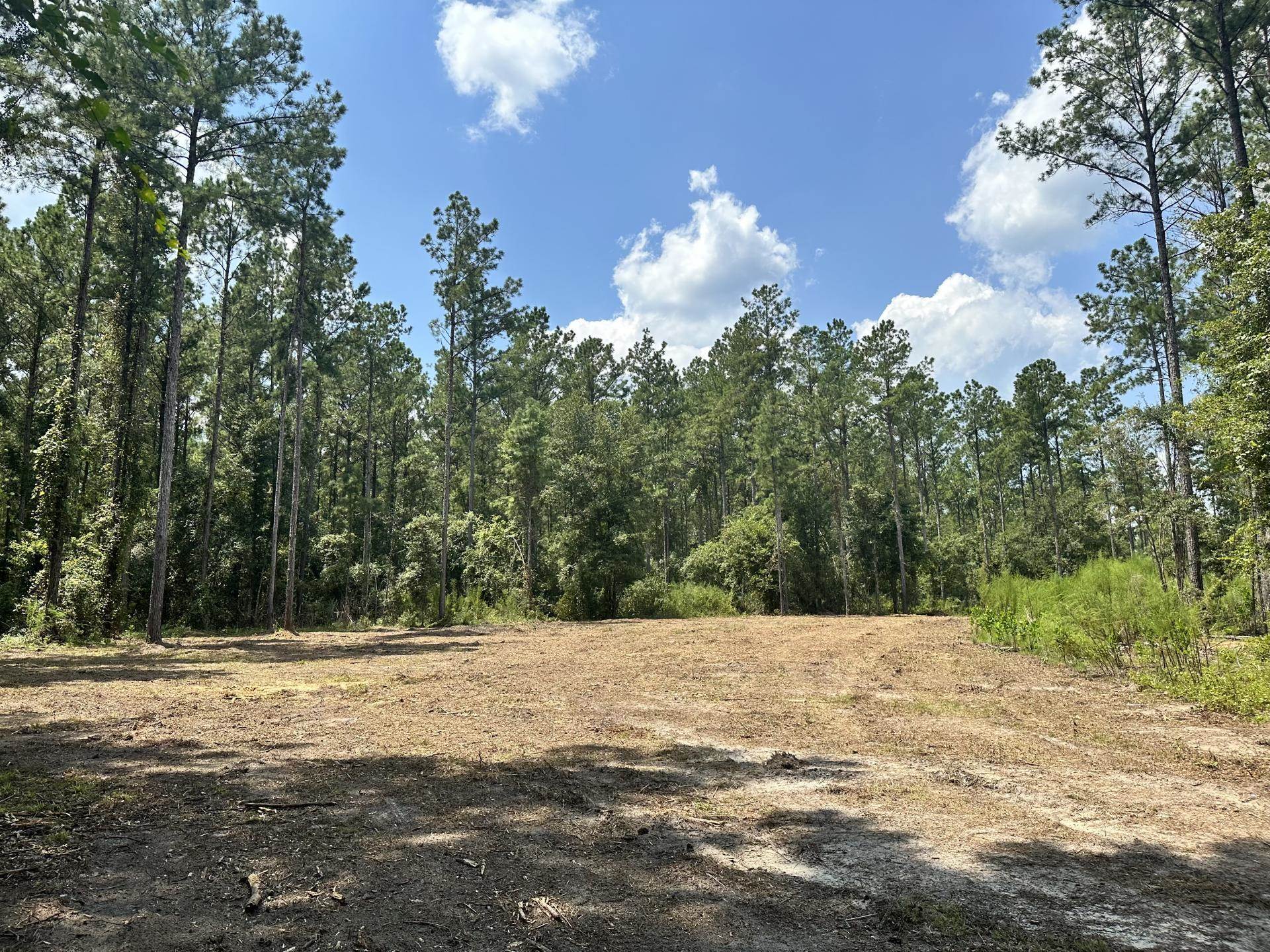 Vacant SW Paradise Way, GREENVILLE, Florida image 14