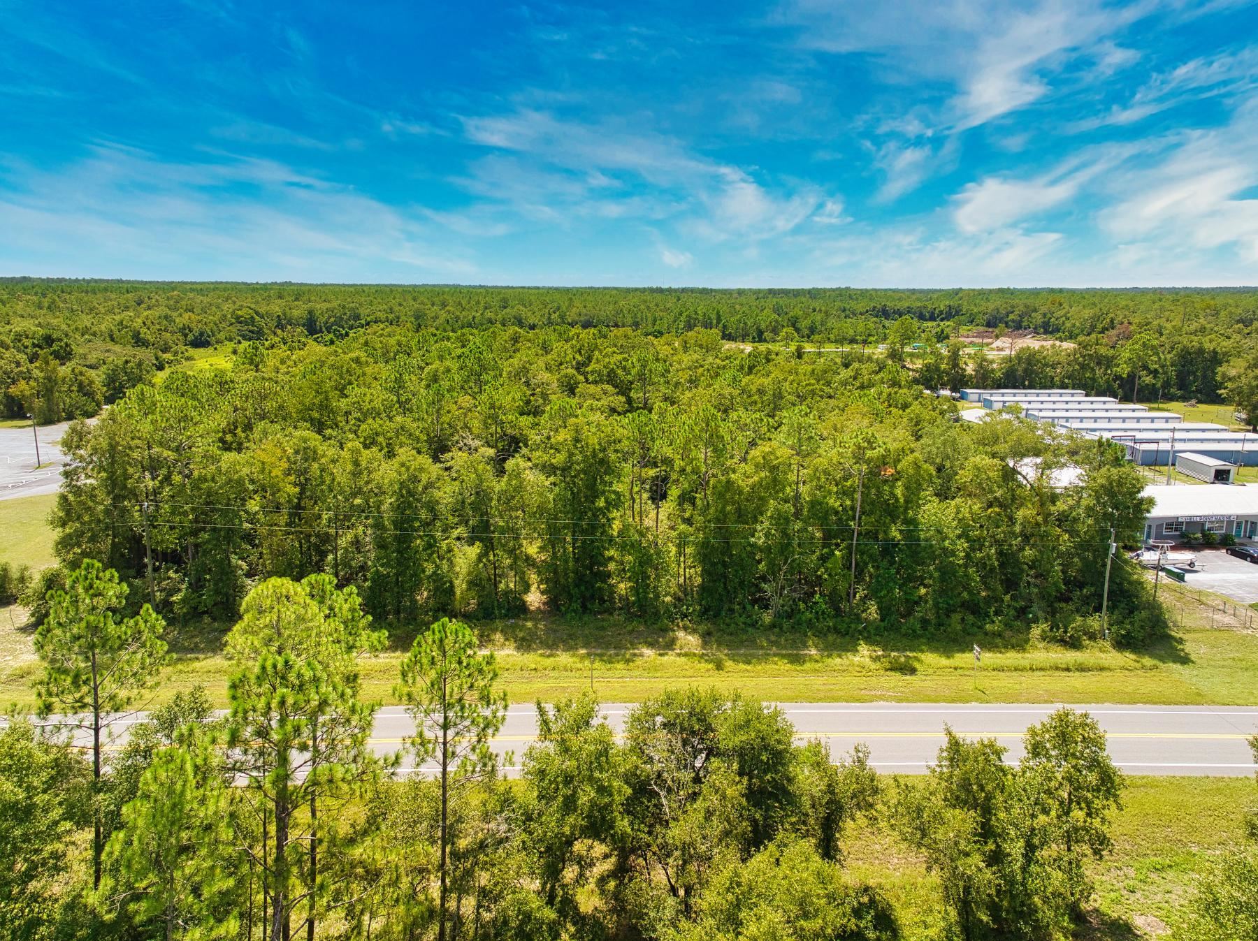 Coastal Highway, Crawfordville, Florida image 7