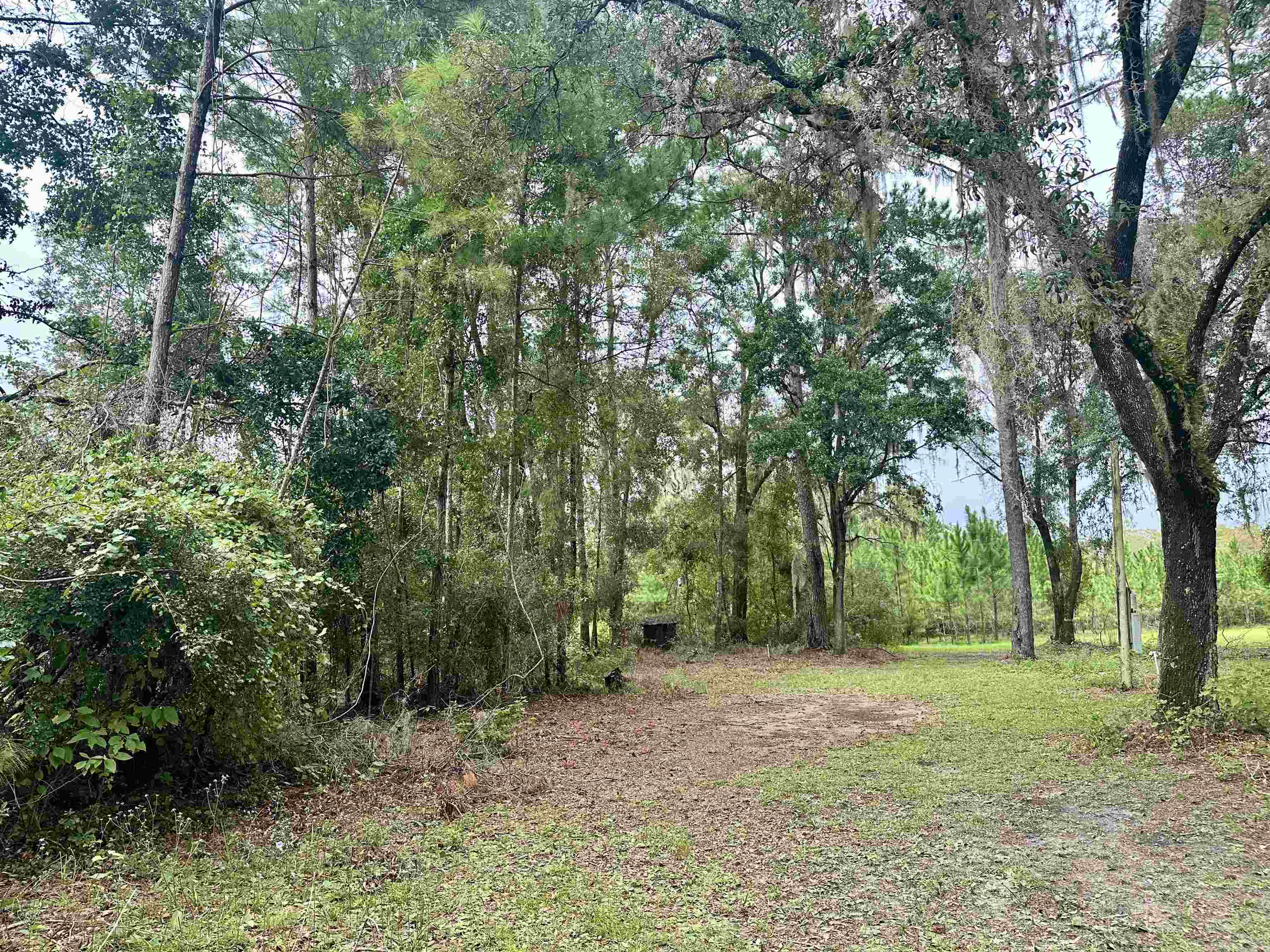 14190 Mt Gilead Road, Greenville, Florida image 10