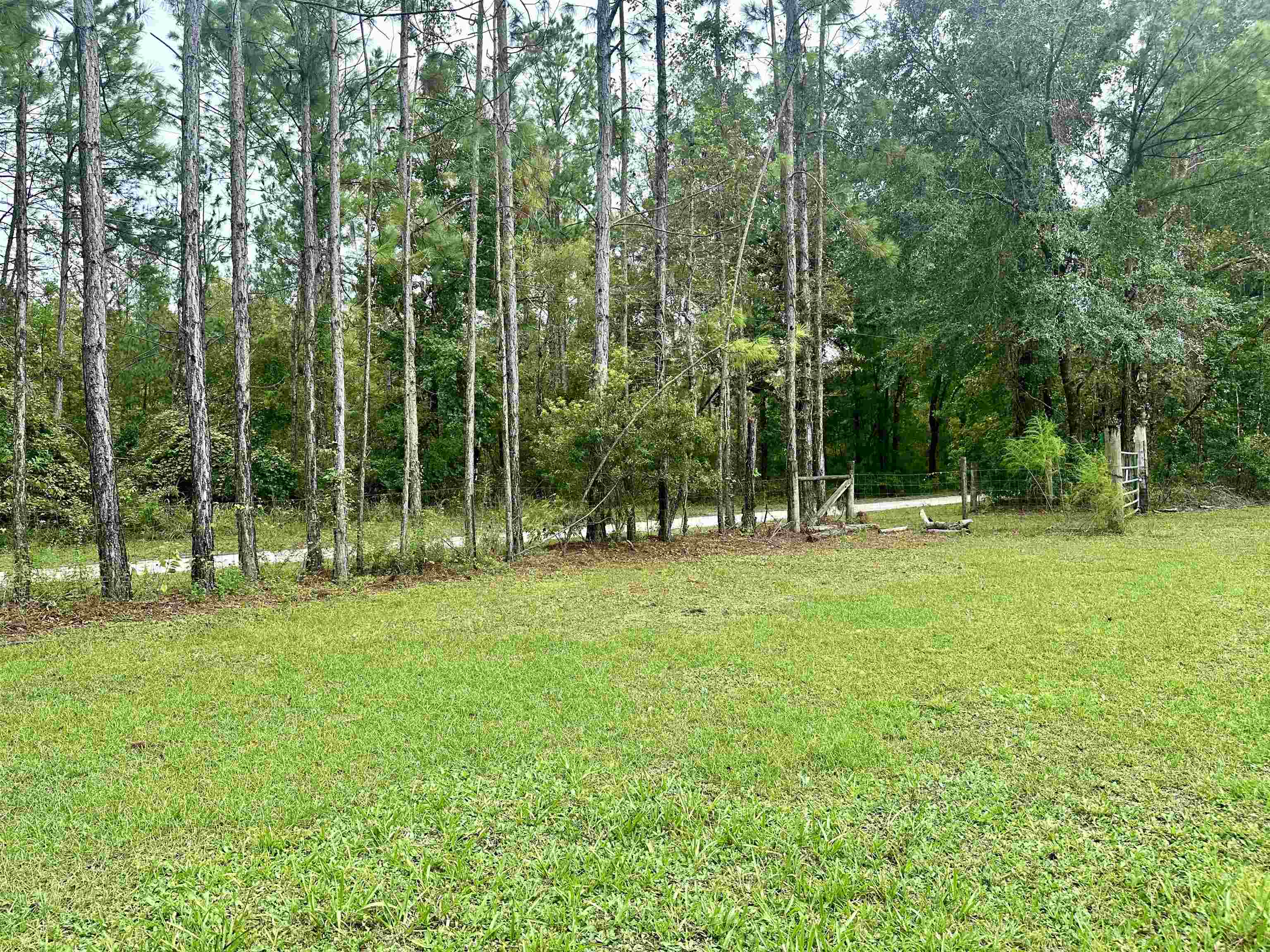 14190 Mt Gilead Road, Greenville, Florida image 3