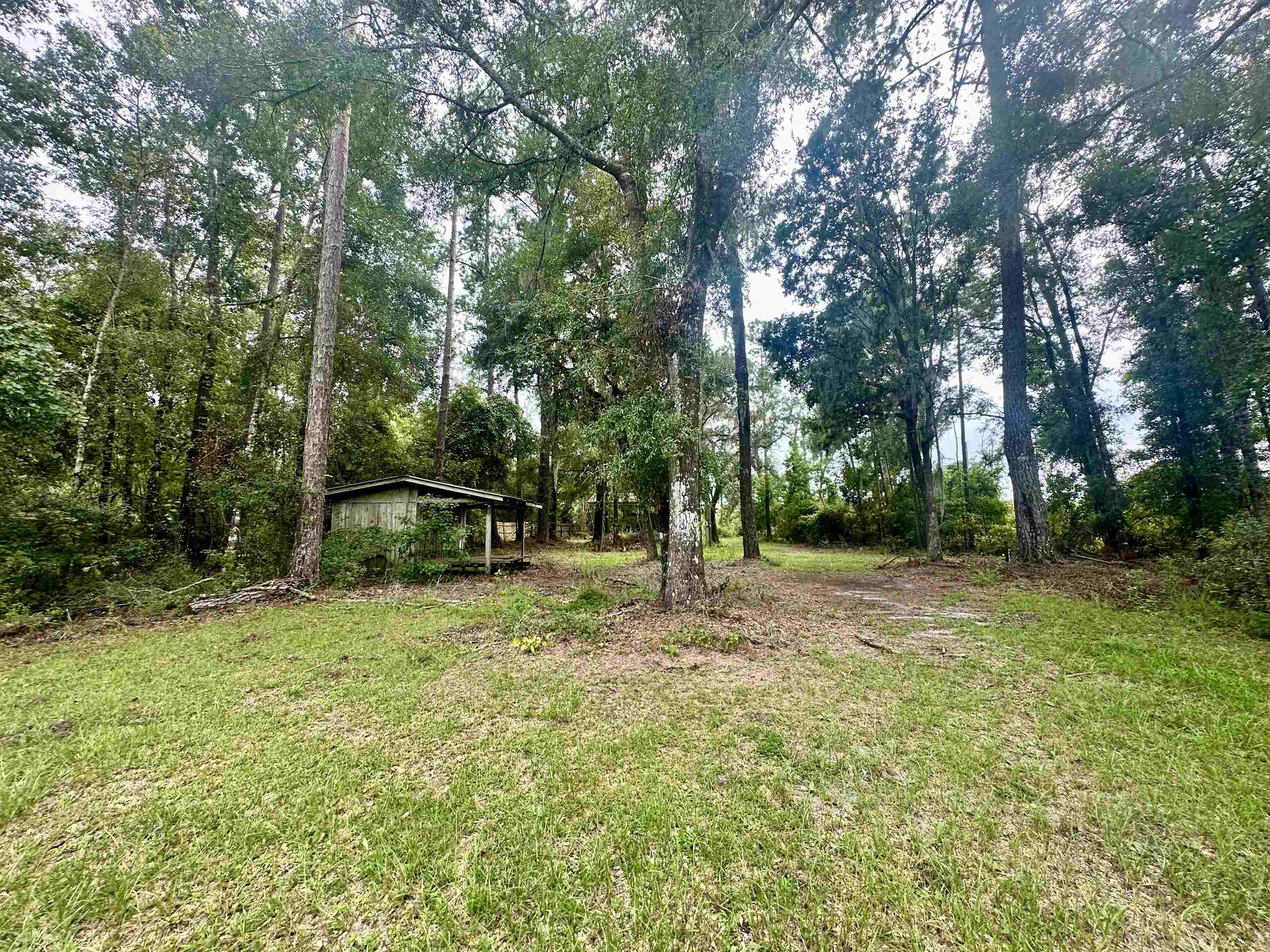 14190 Mt Gilead Road, Greenville, Florida image 4