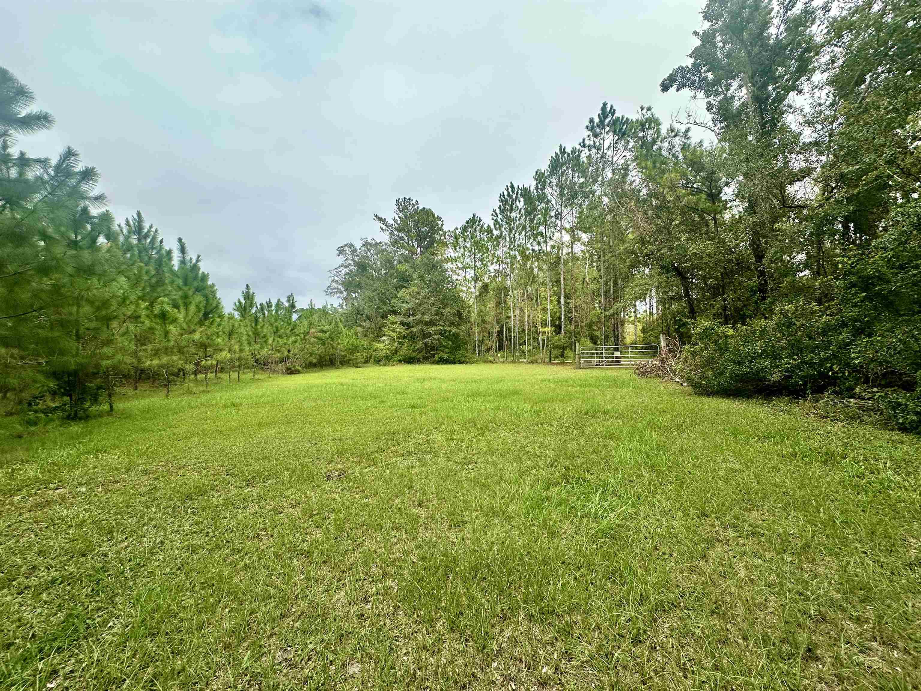 14190 Mt Gilead Road, Greenville, Florida image 5