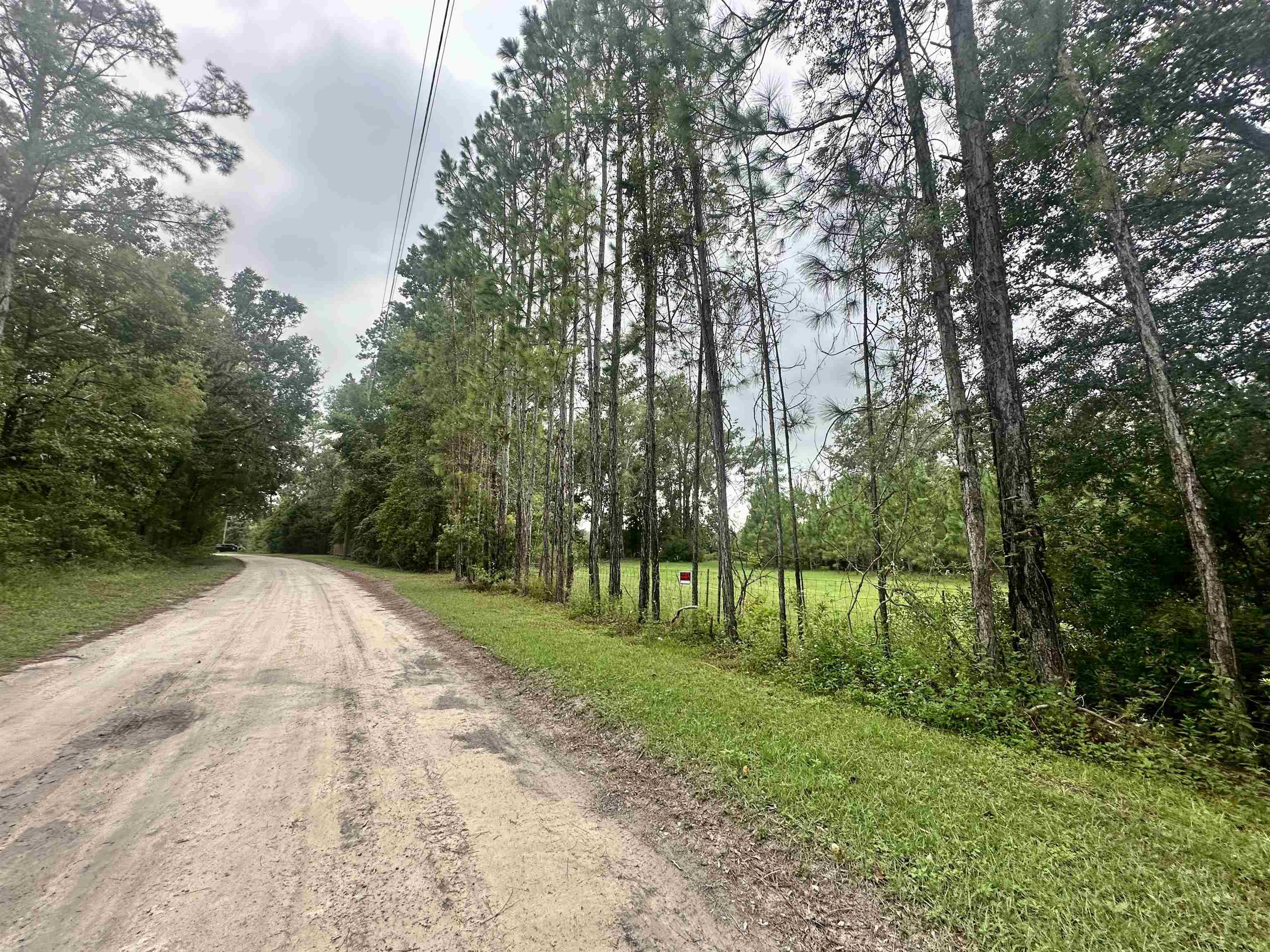 14190 Mt Gilead Road, Greenville, Florida image 8