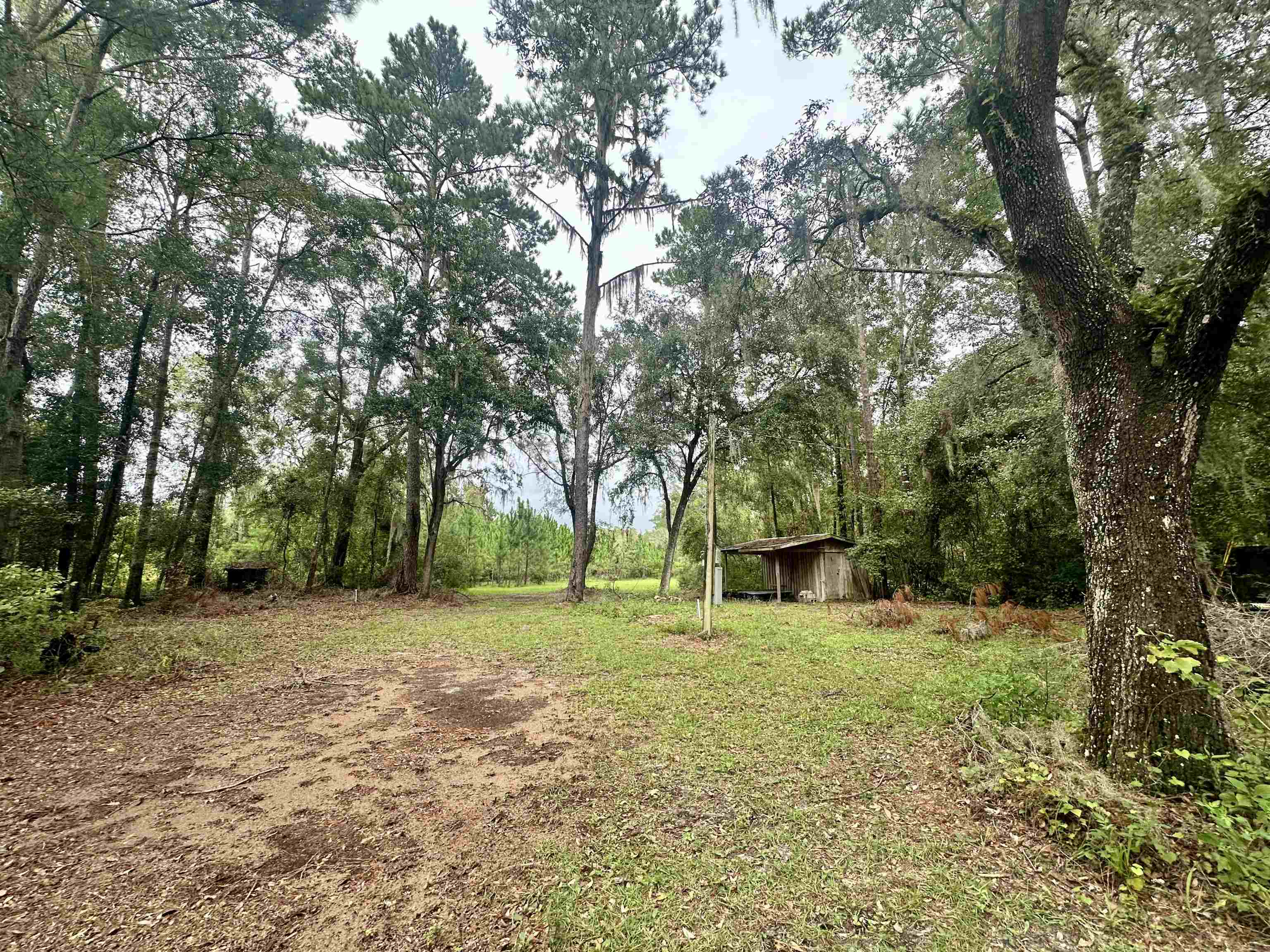 14190 Mt Gilead Road, Greenville, Florida image 9