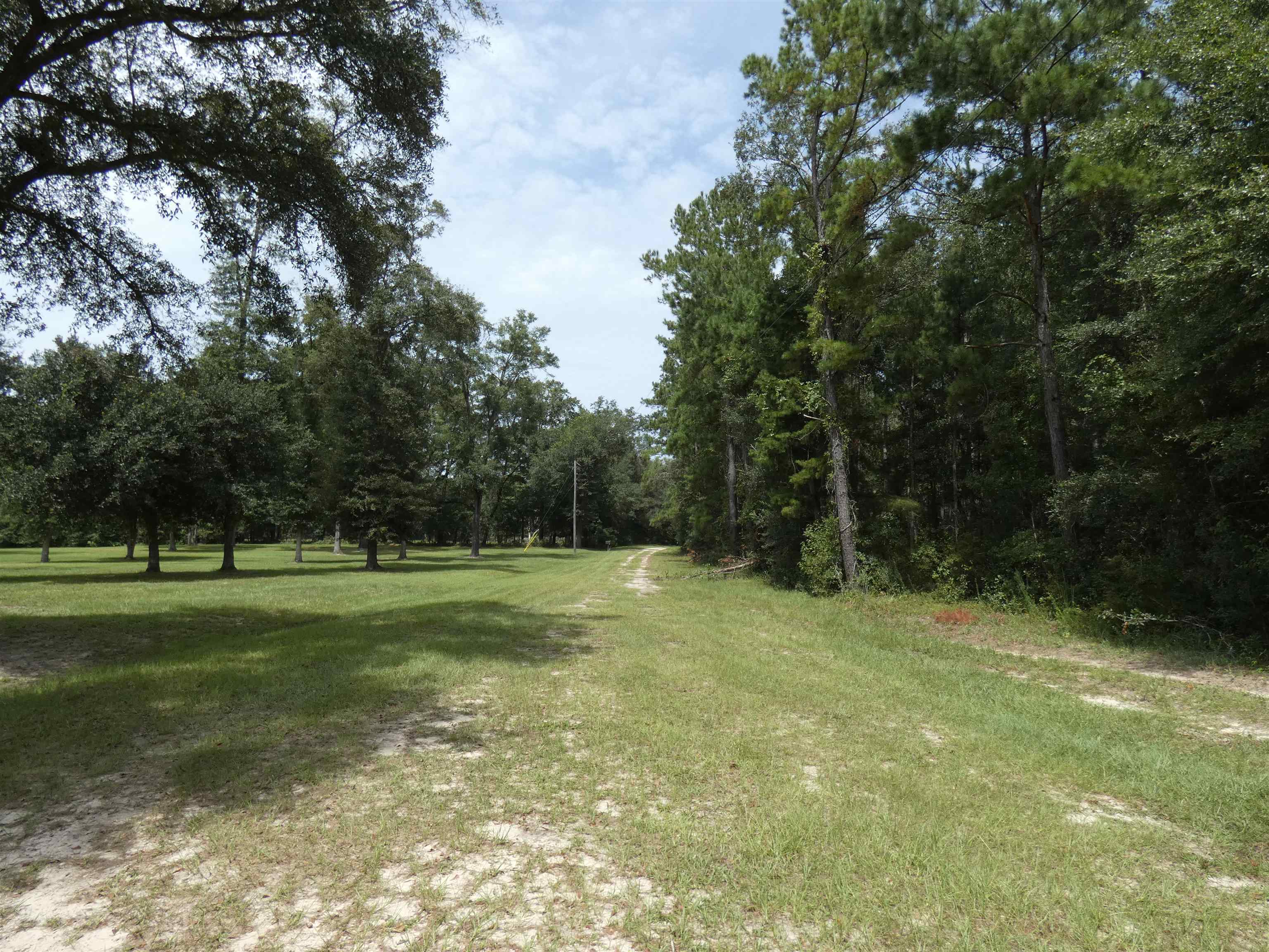 3229 Deerwood Boulevard, Greenville, Florida image 20