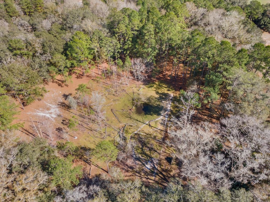 3326 Mcdaniel Road, PERRY, Florida image 9