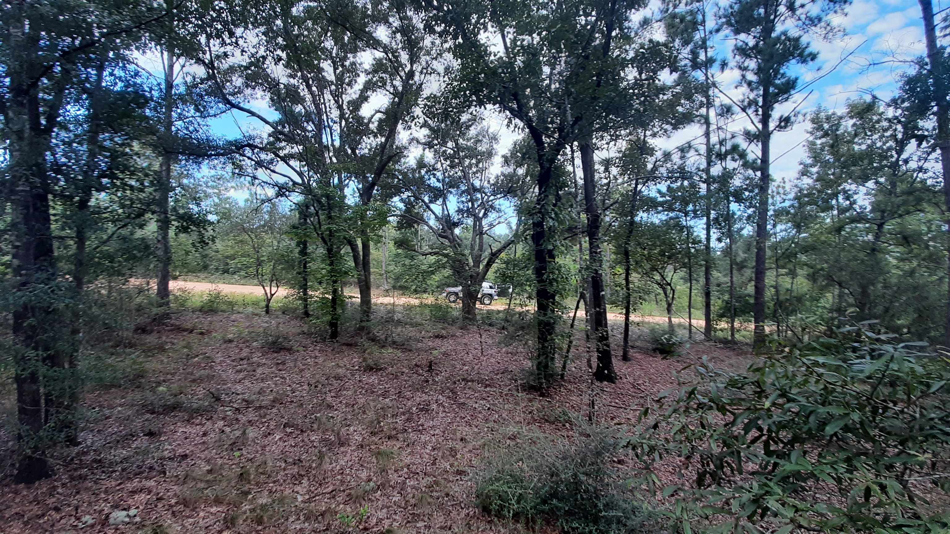 Alene Drive, Alford, Florida image 6