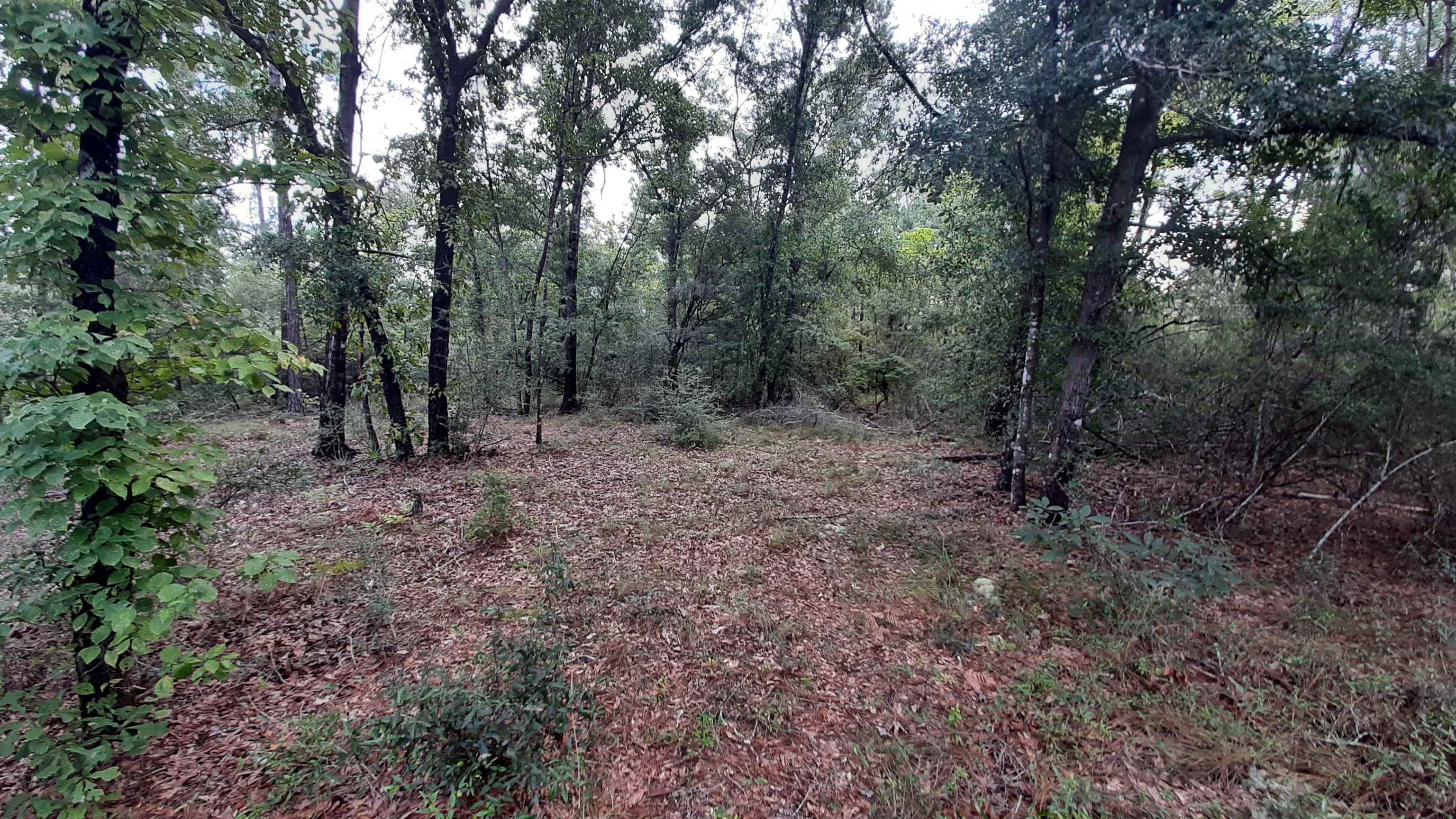 Alene Drive, Alford, Florida image 9