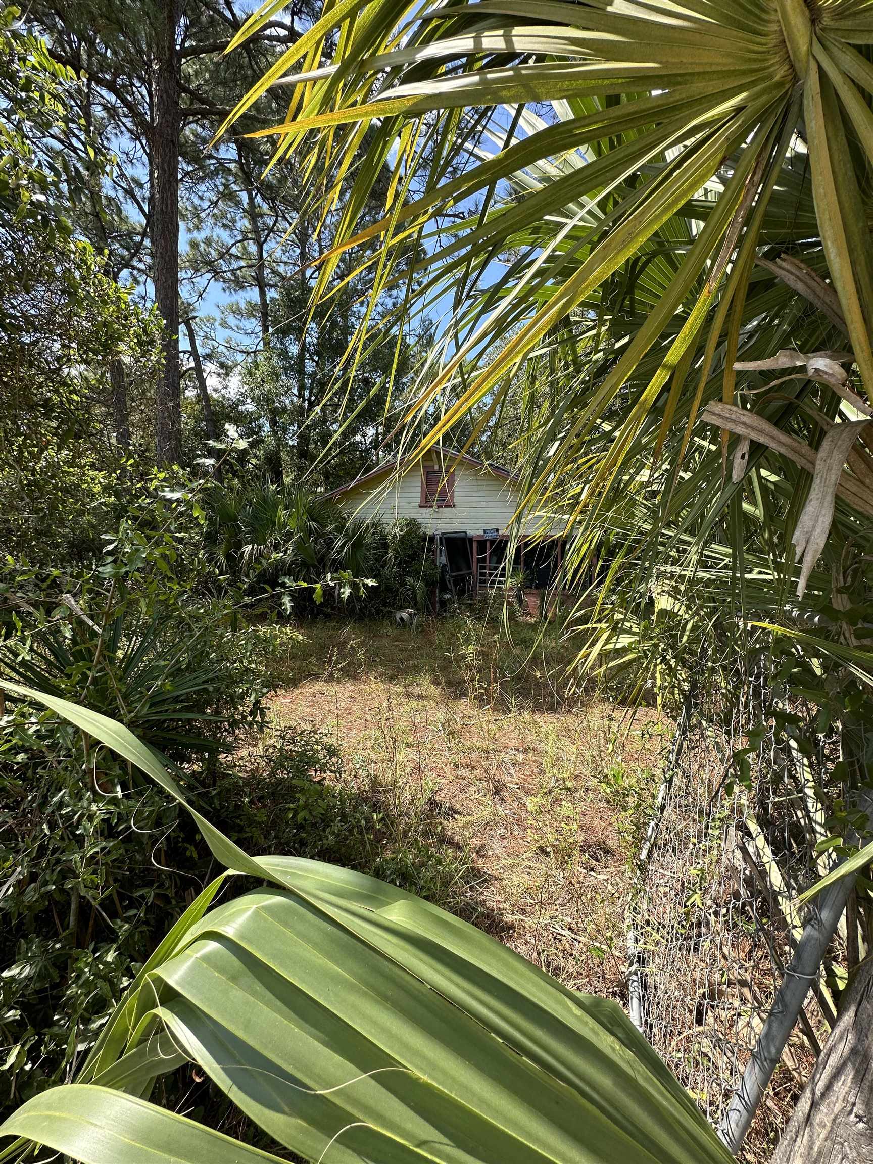 74 Westview Street, PANACEA, Florida image 3